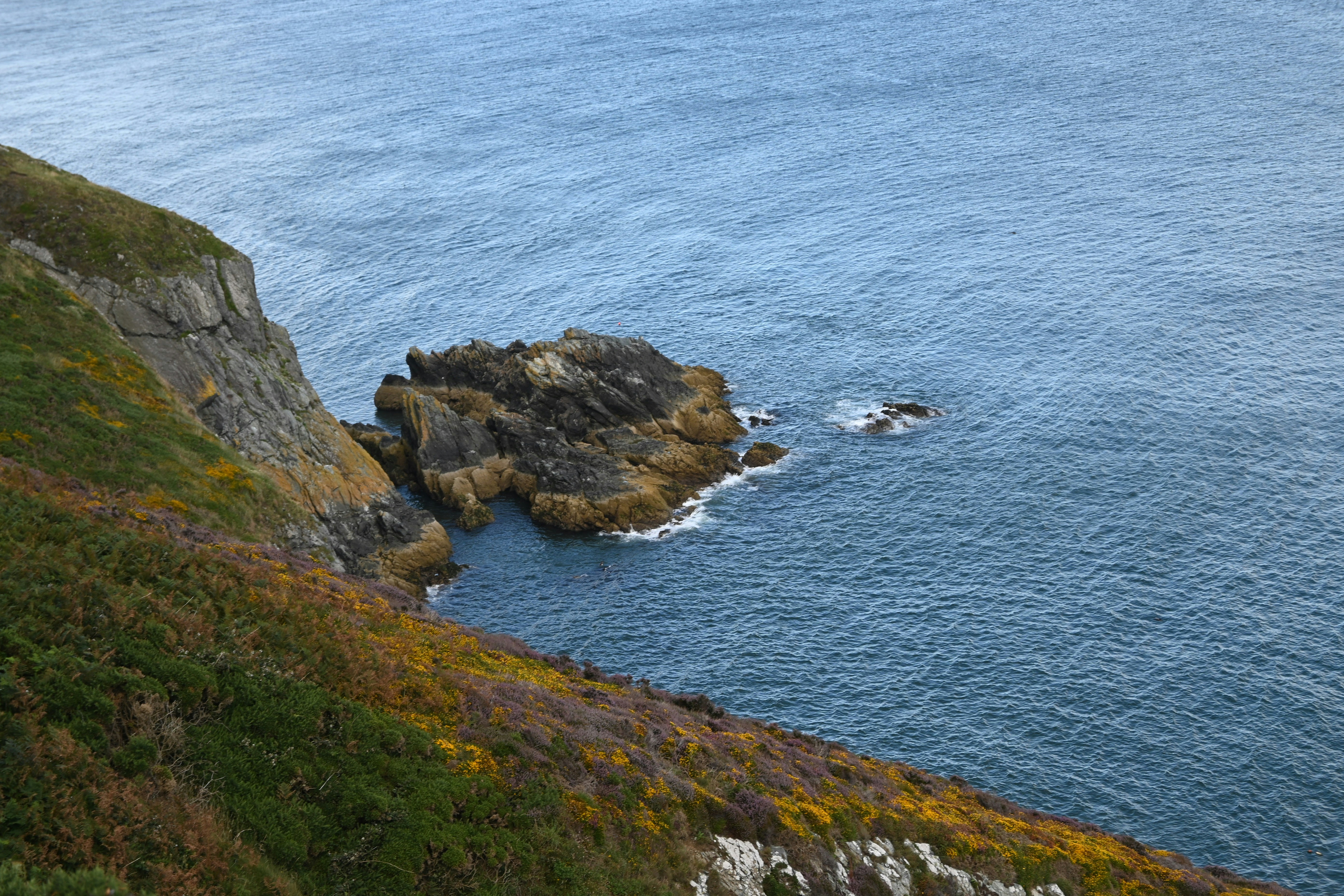 Photo by abhidevvaishnav