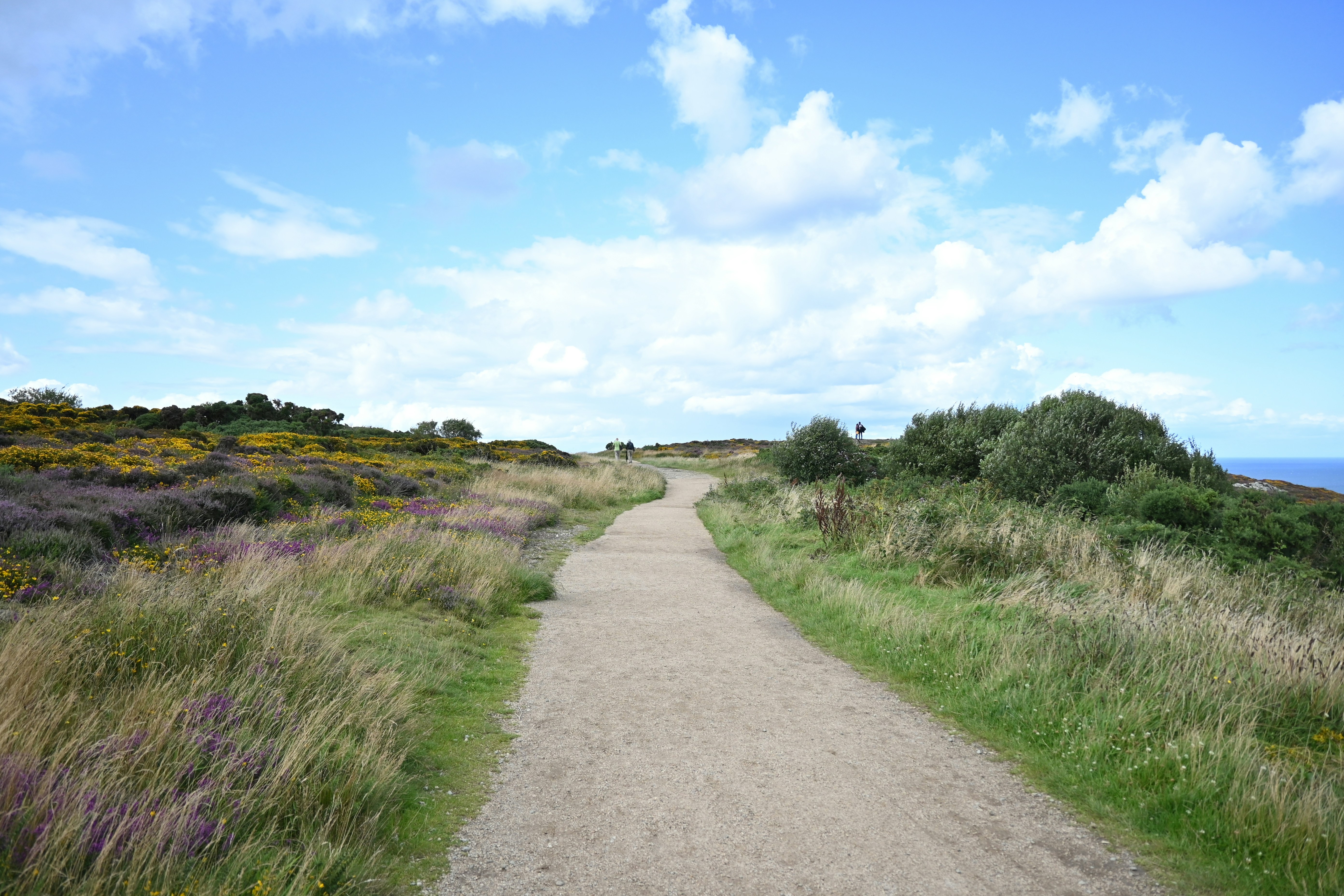 Photo by abhidevvaishnav