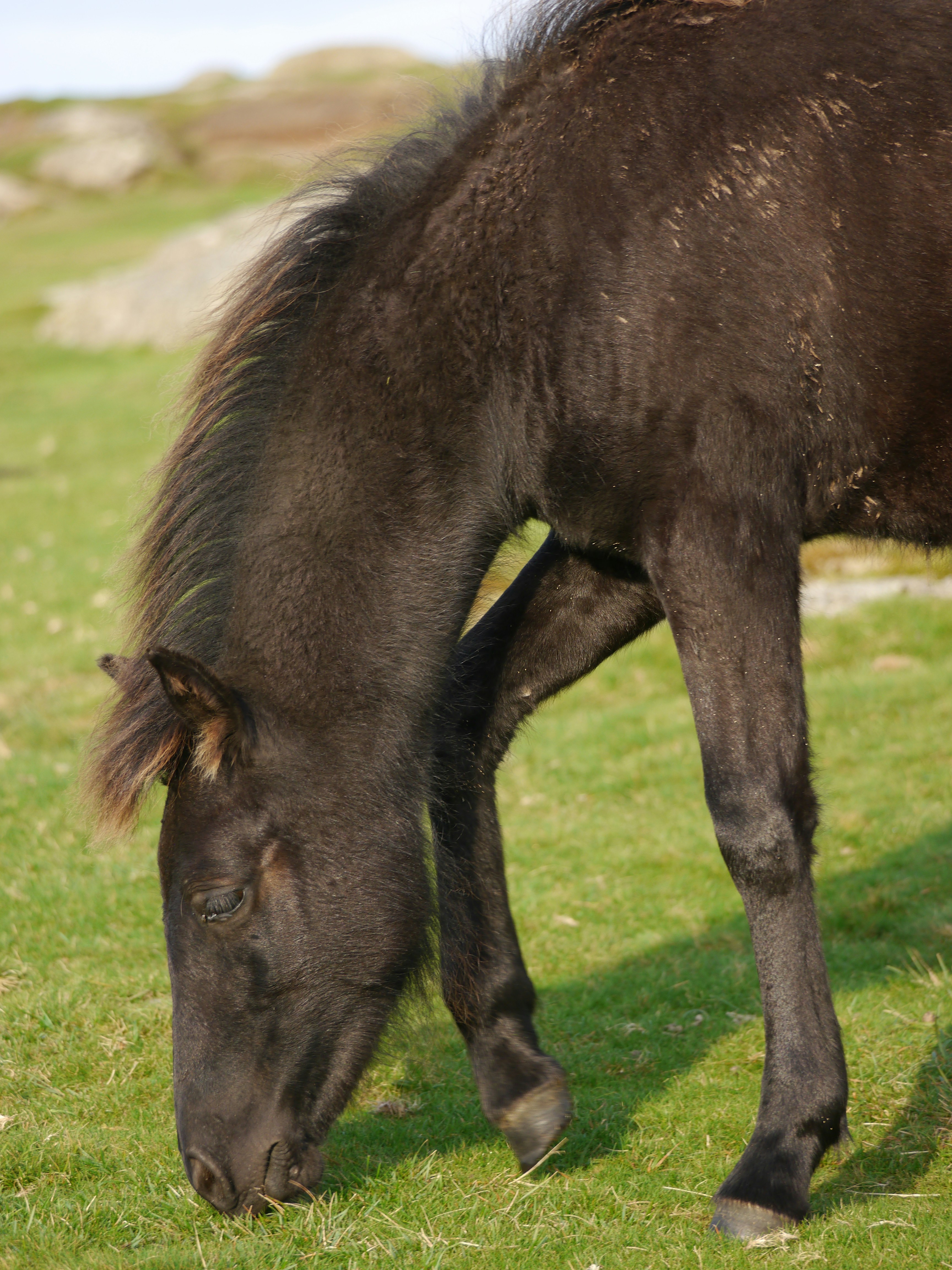 Photo by iqsphotography