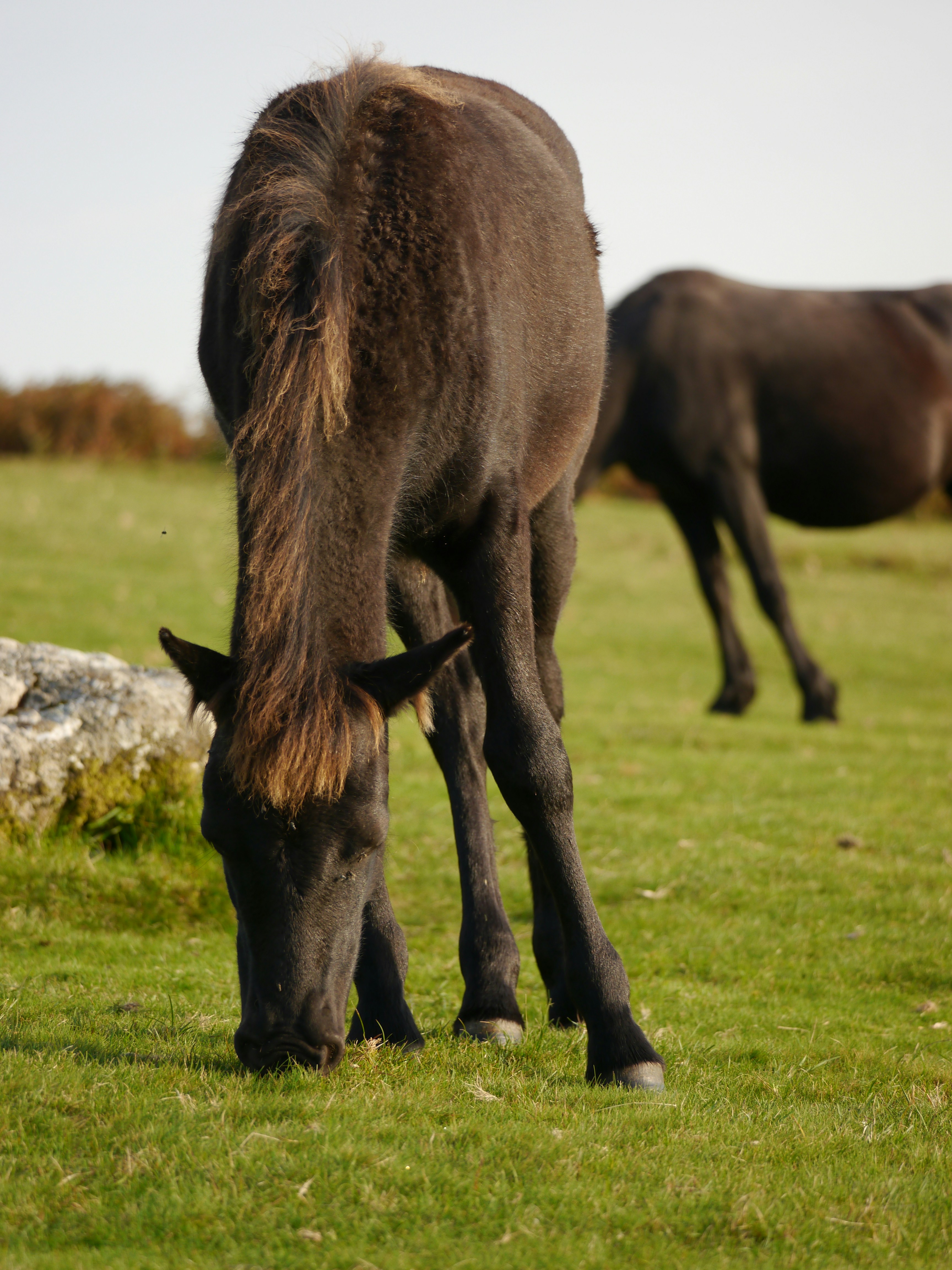 Photo by iqsphotography