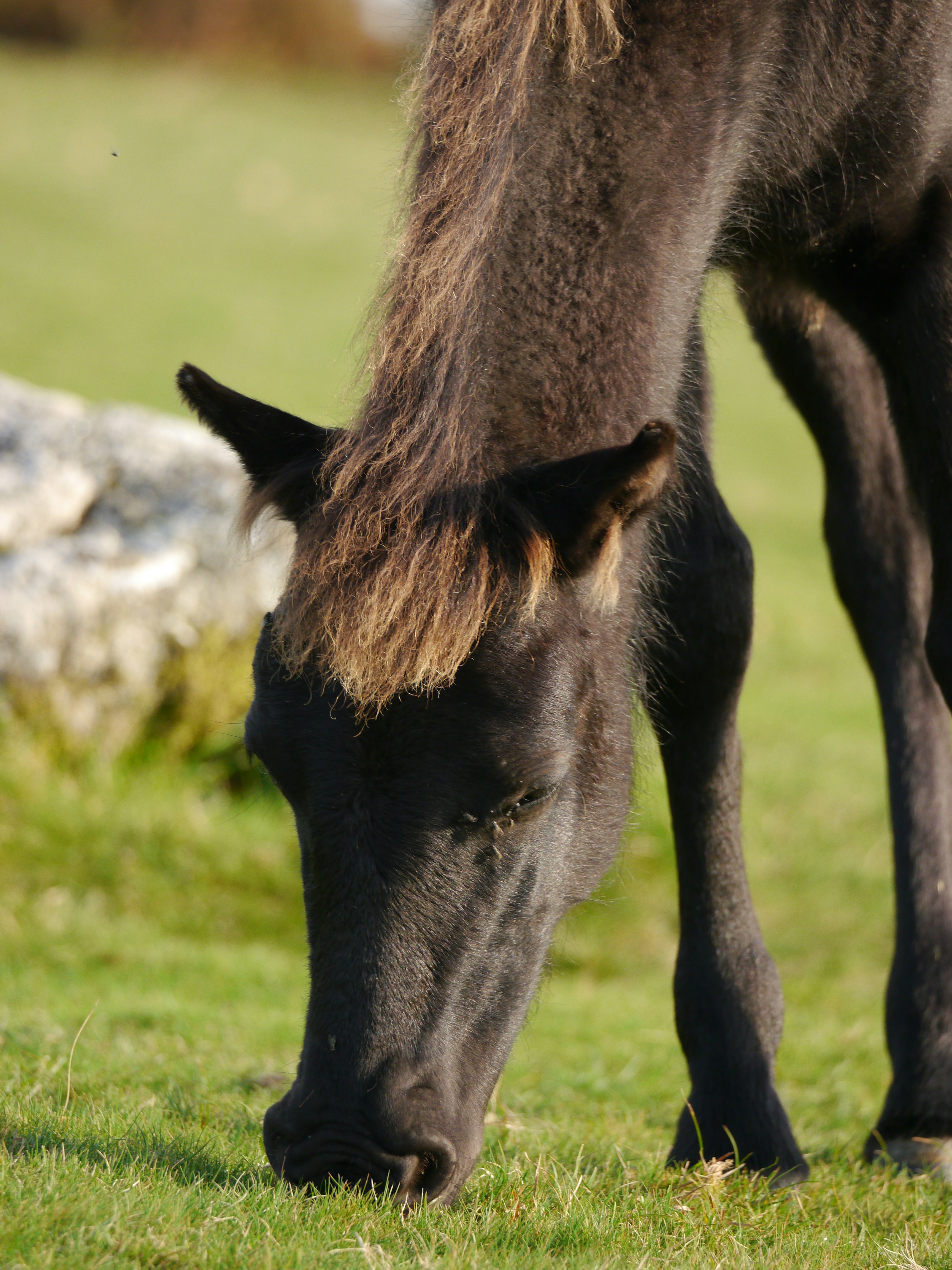 Photo by iqsphotography