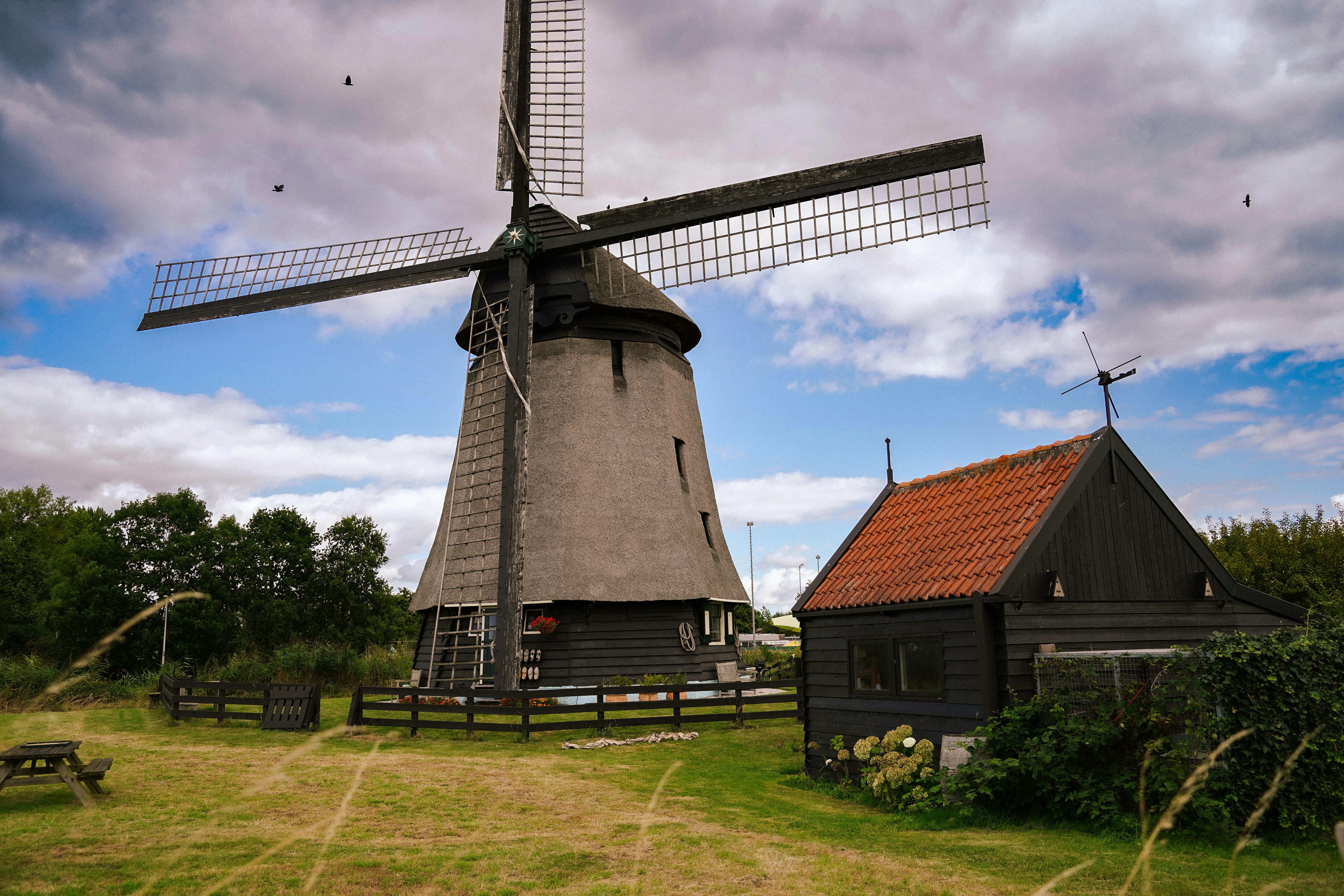 Photo by amsterdamian