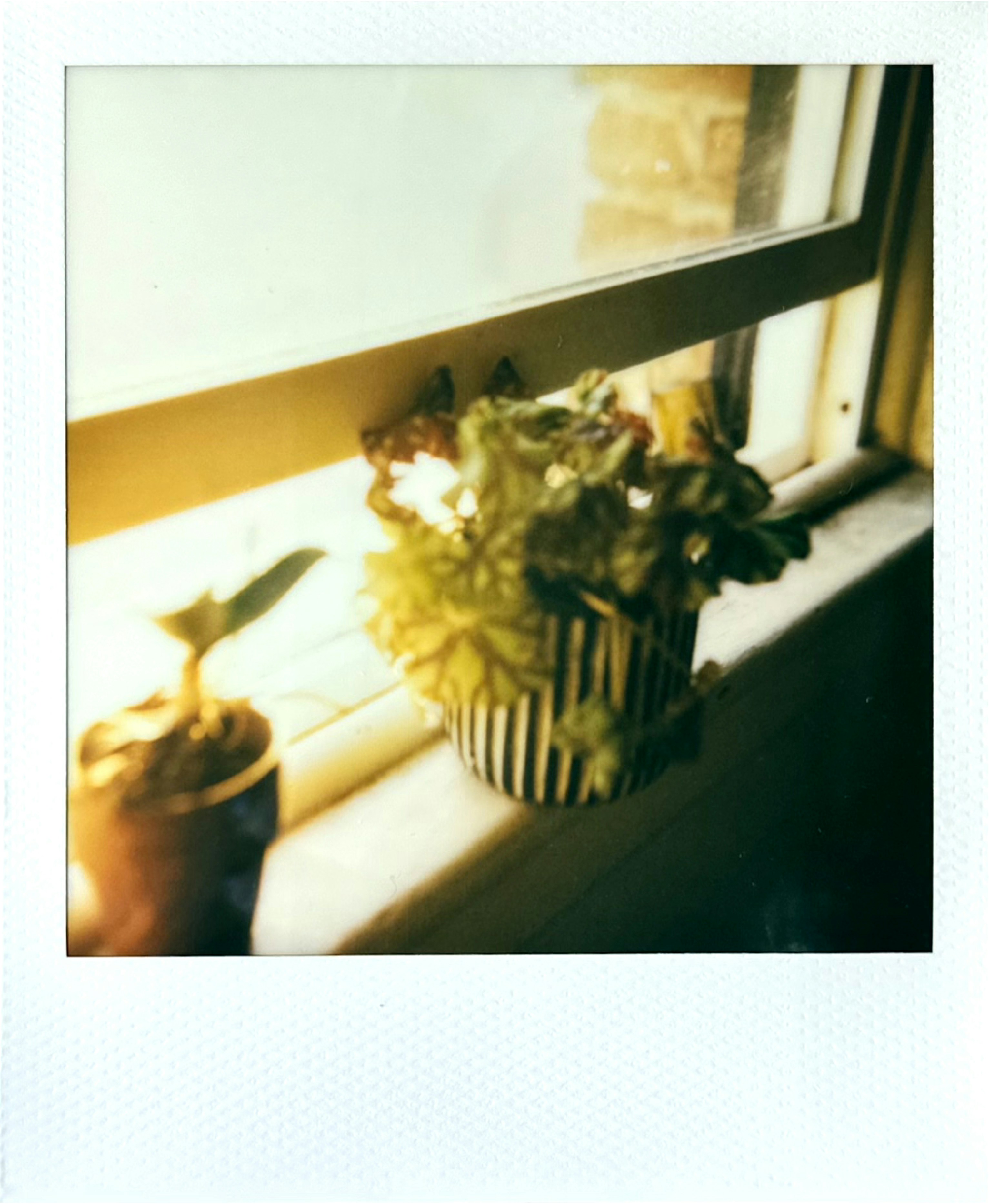 Photo by sashamatveeva