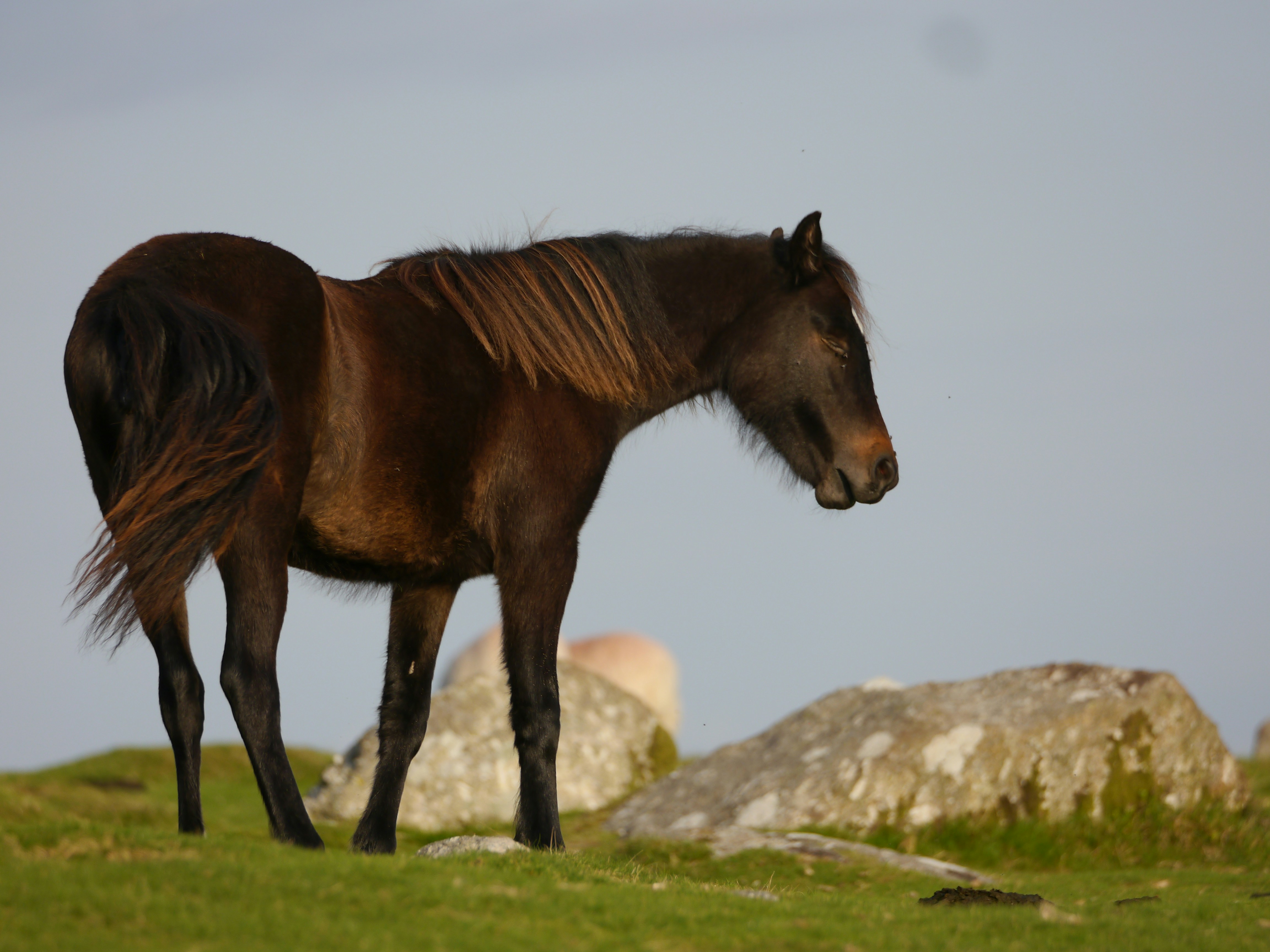 Photo by iqsphotography