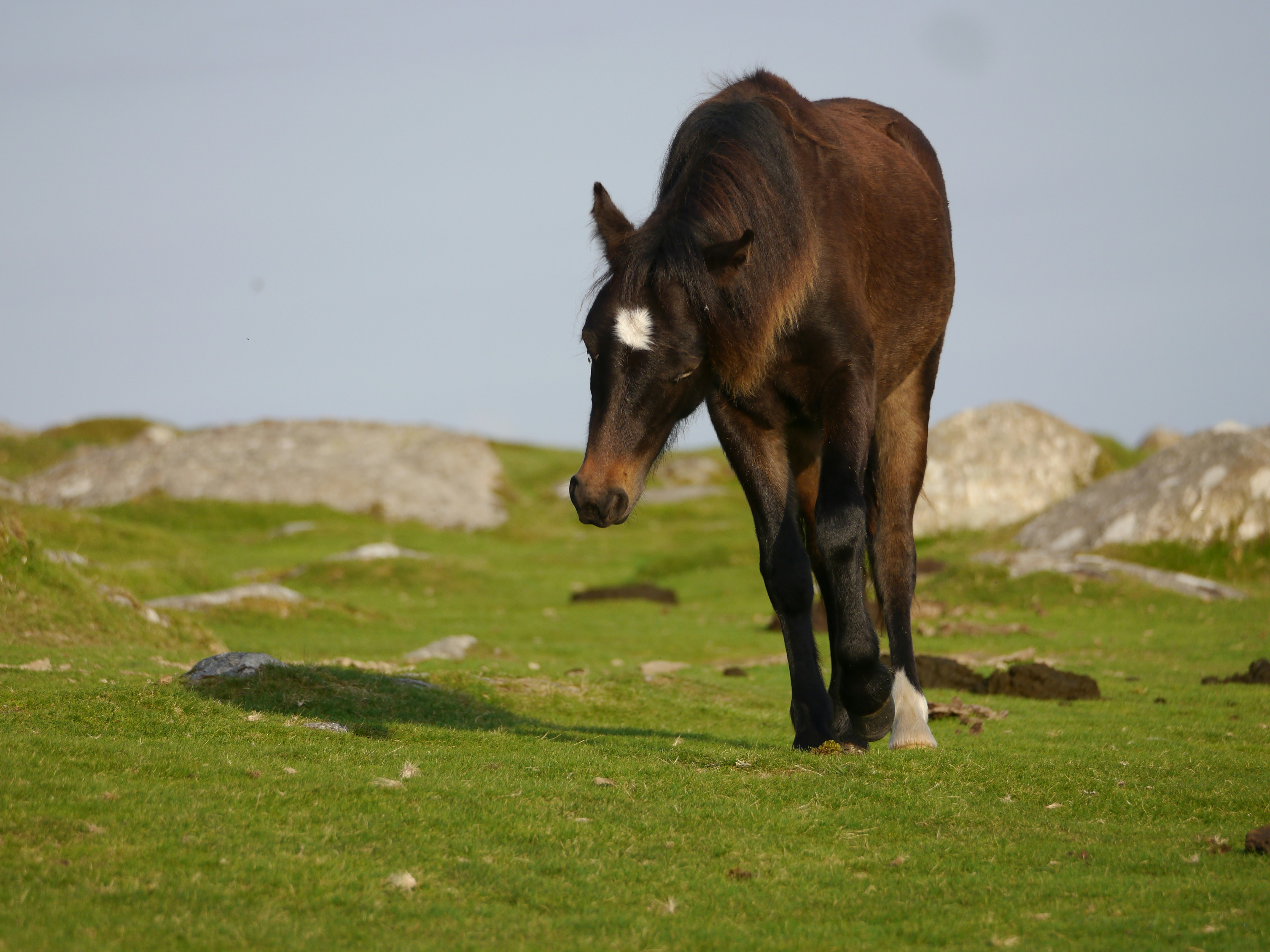 Photo by iqsphotography