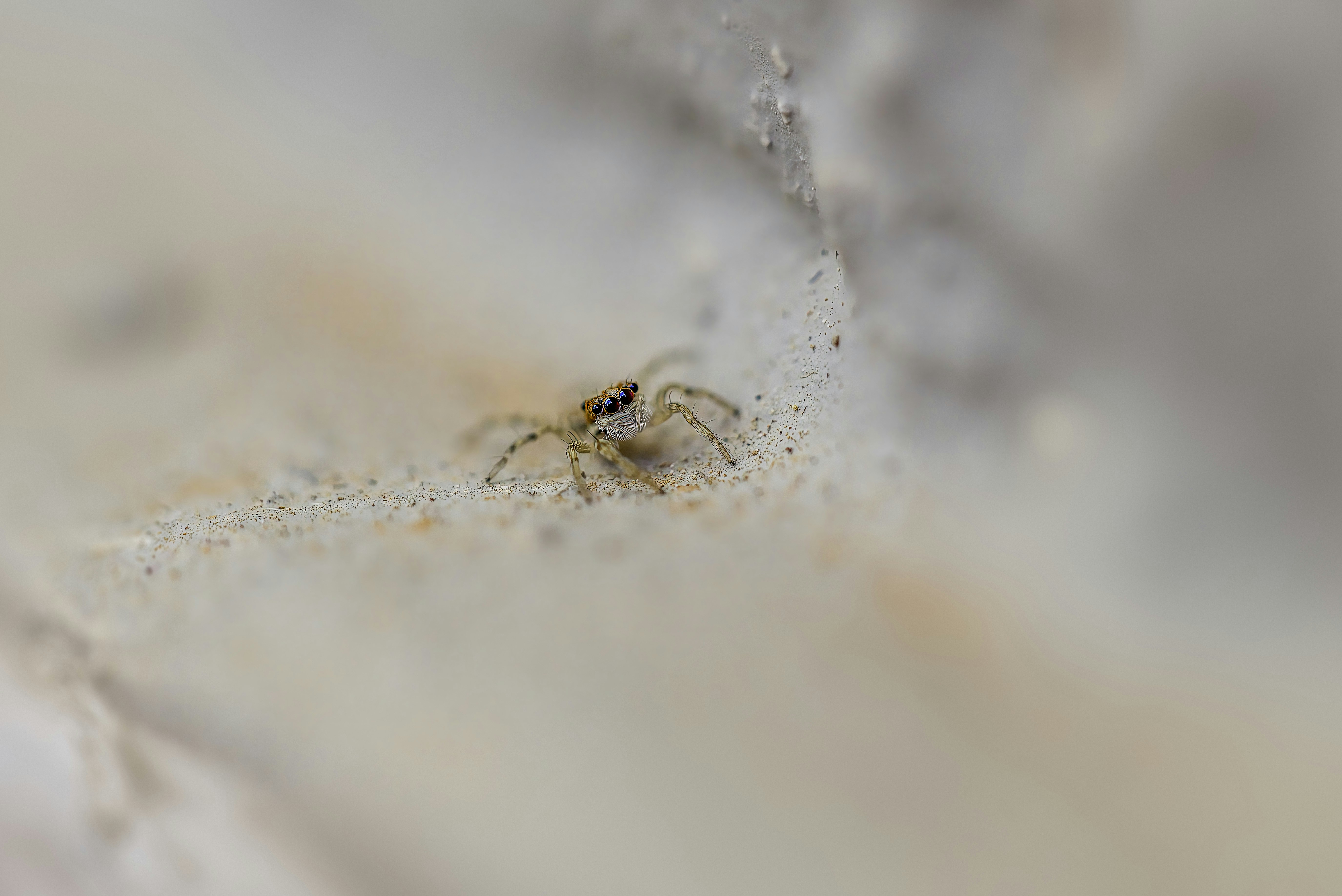 Photo by erik_karits