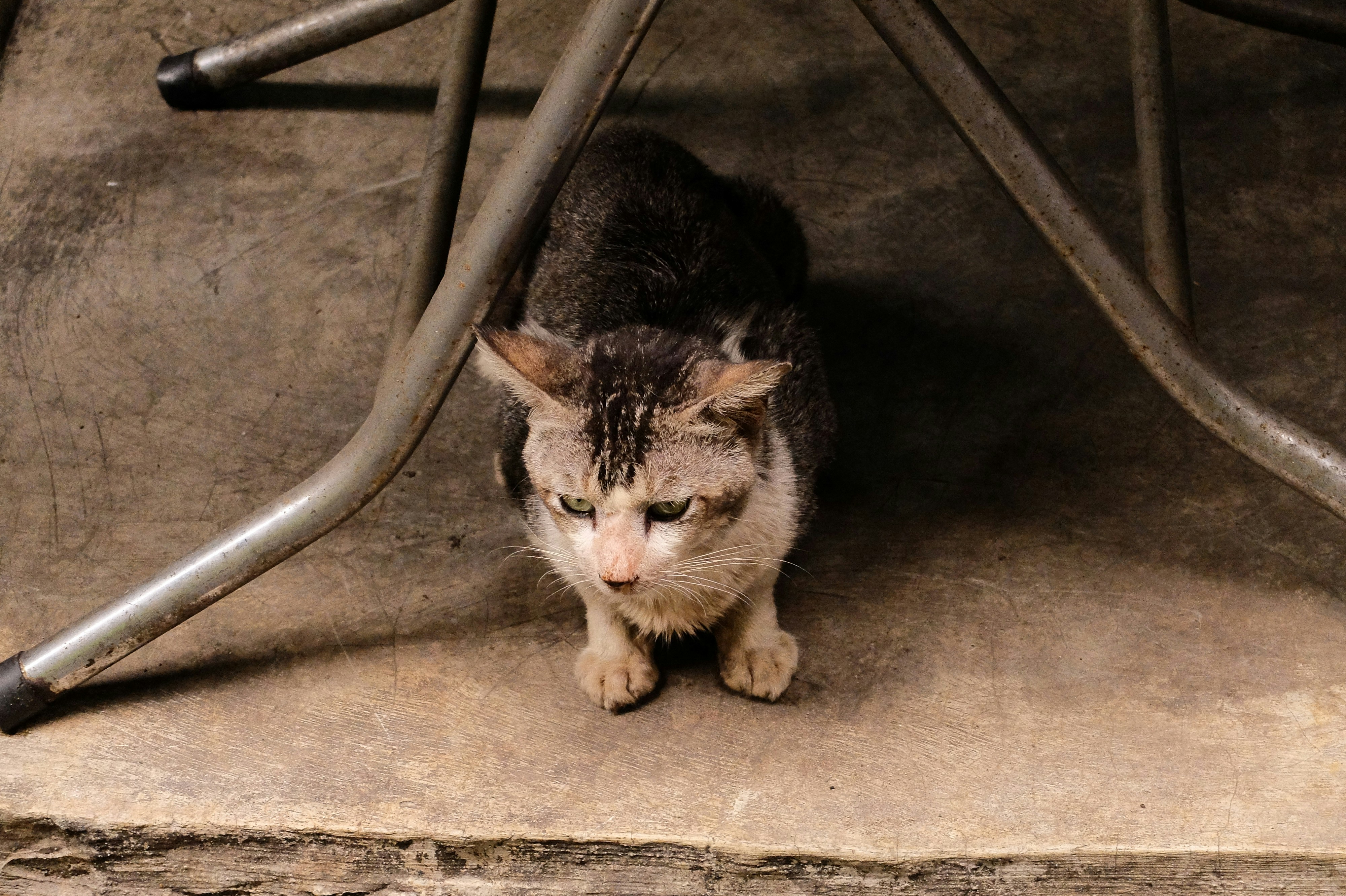 Photo by davidkristianto