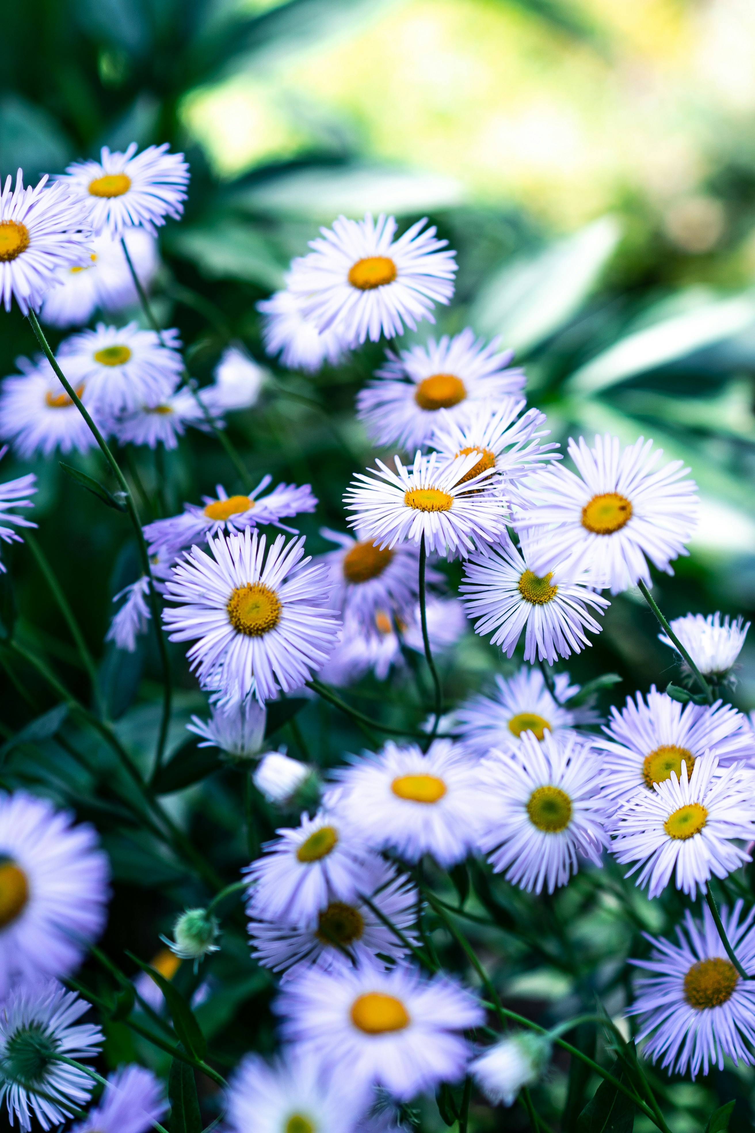 Photo by anamnesis33