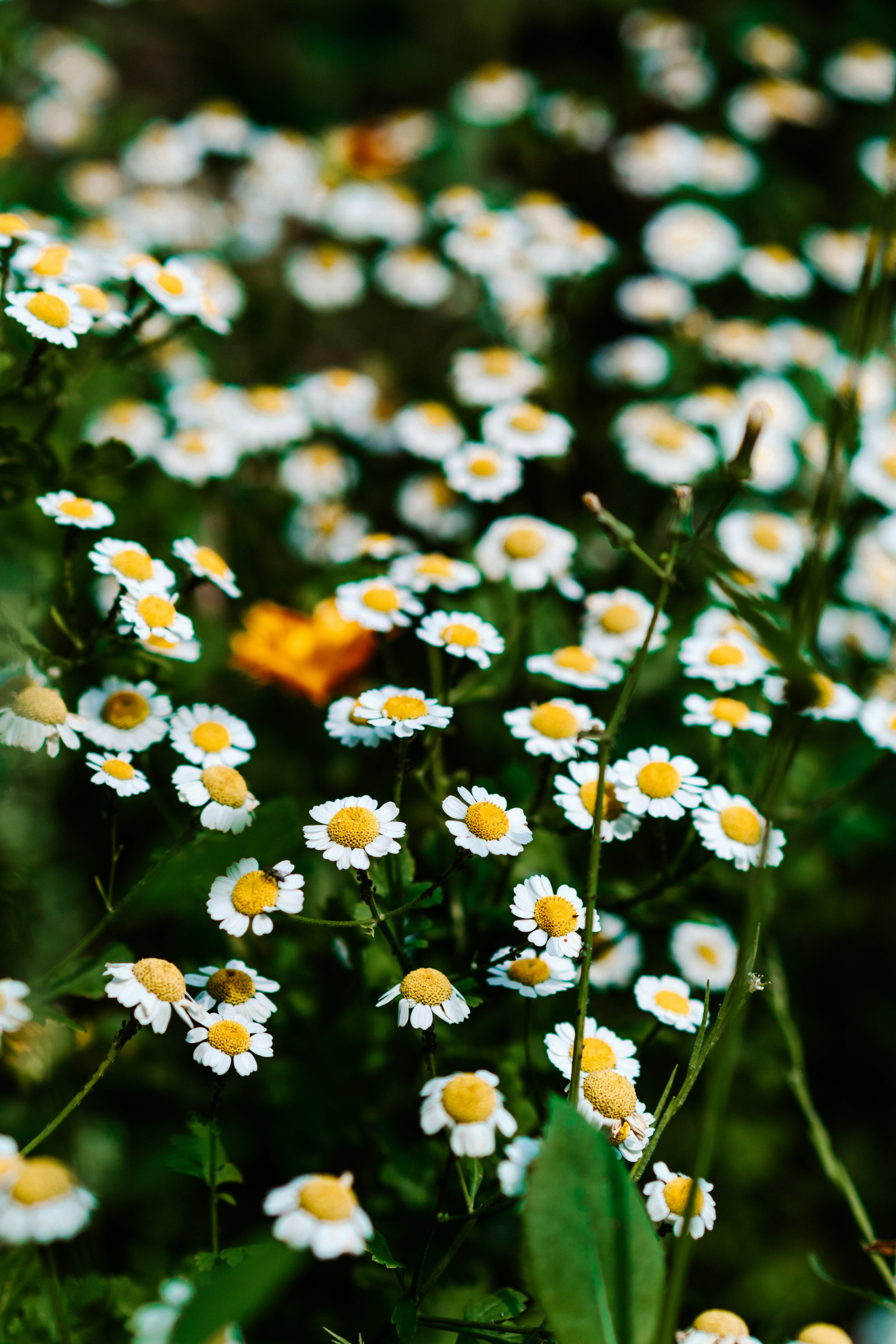 Photo by anamnesis33