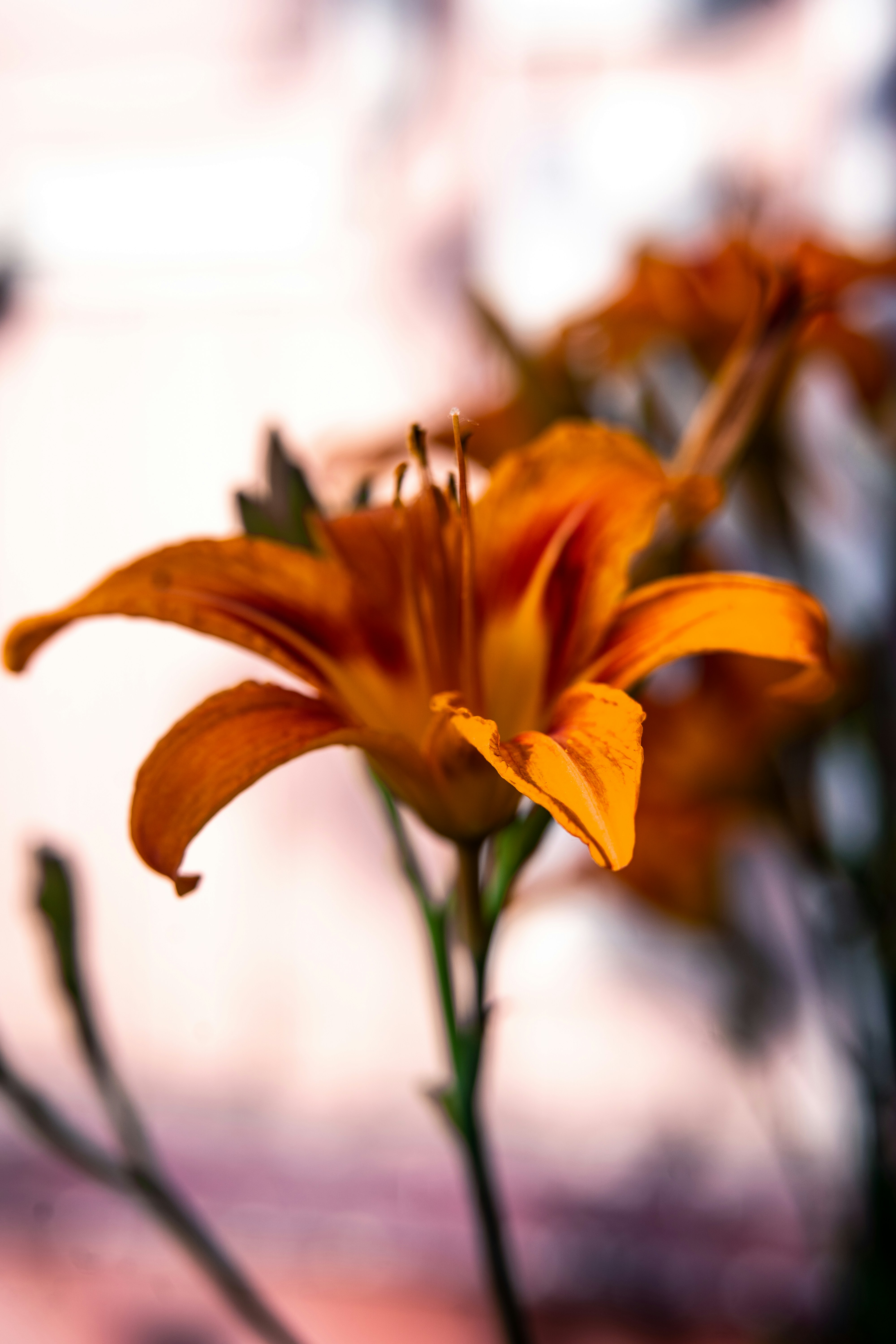 Photo by anamnesis33