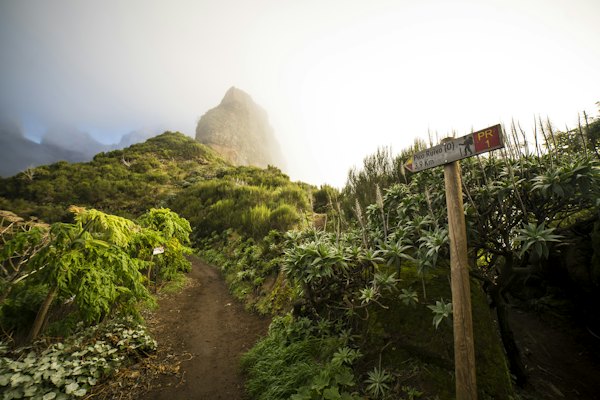 A trail with a sign on the side of it — Madeira, Portugal