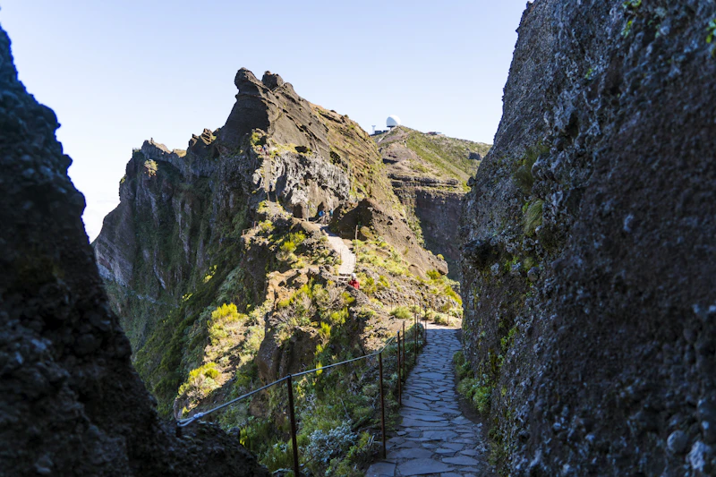 A stone path cut through Madeira’s central mountains