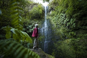 A man standing on a rock in front of a waterfall