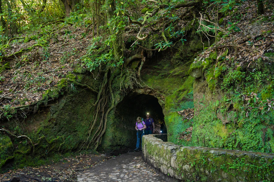 Person walking through levada tunnel in Madeira forest