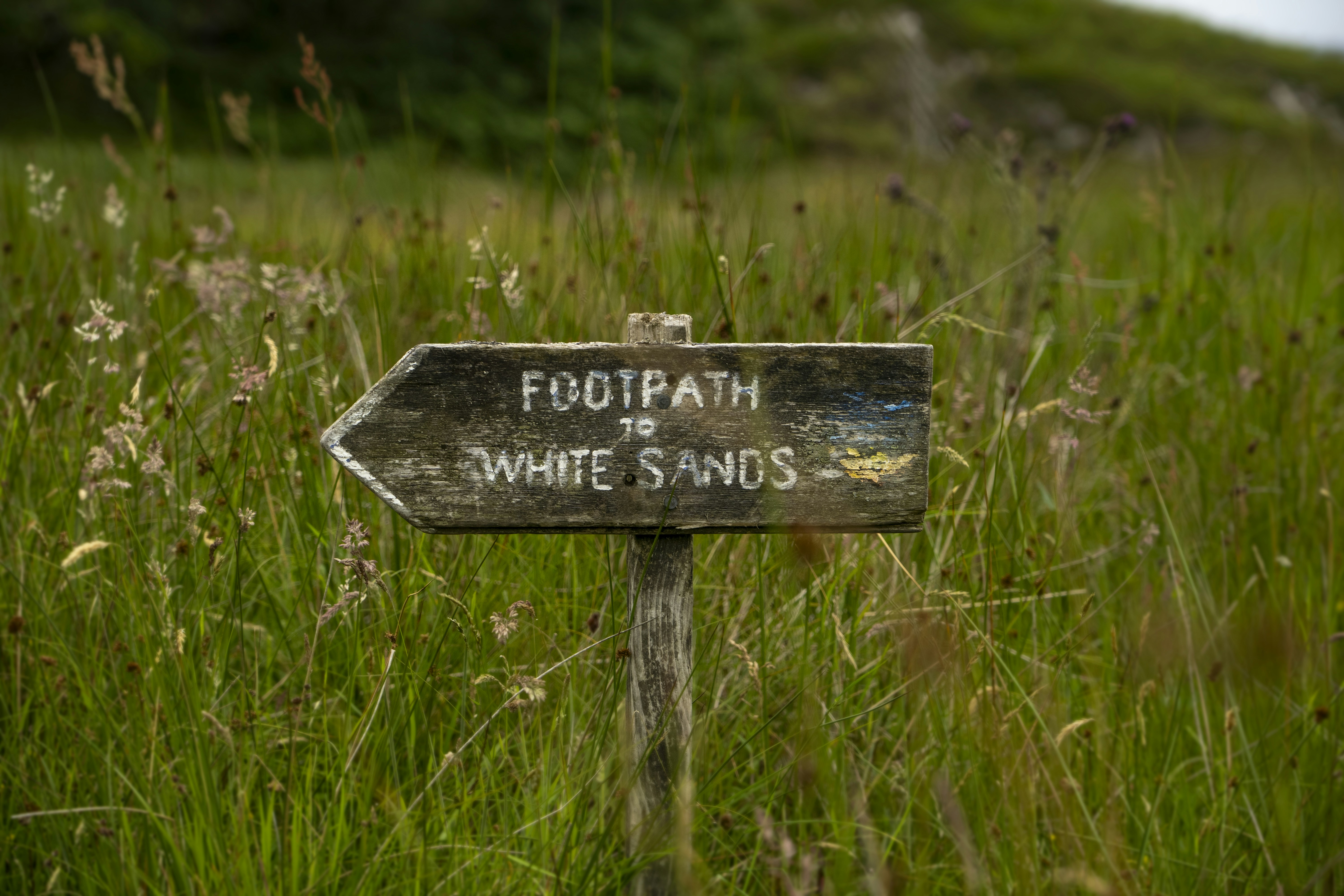 Un letrero en medio de un campo de hierba