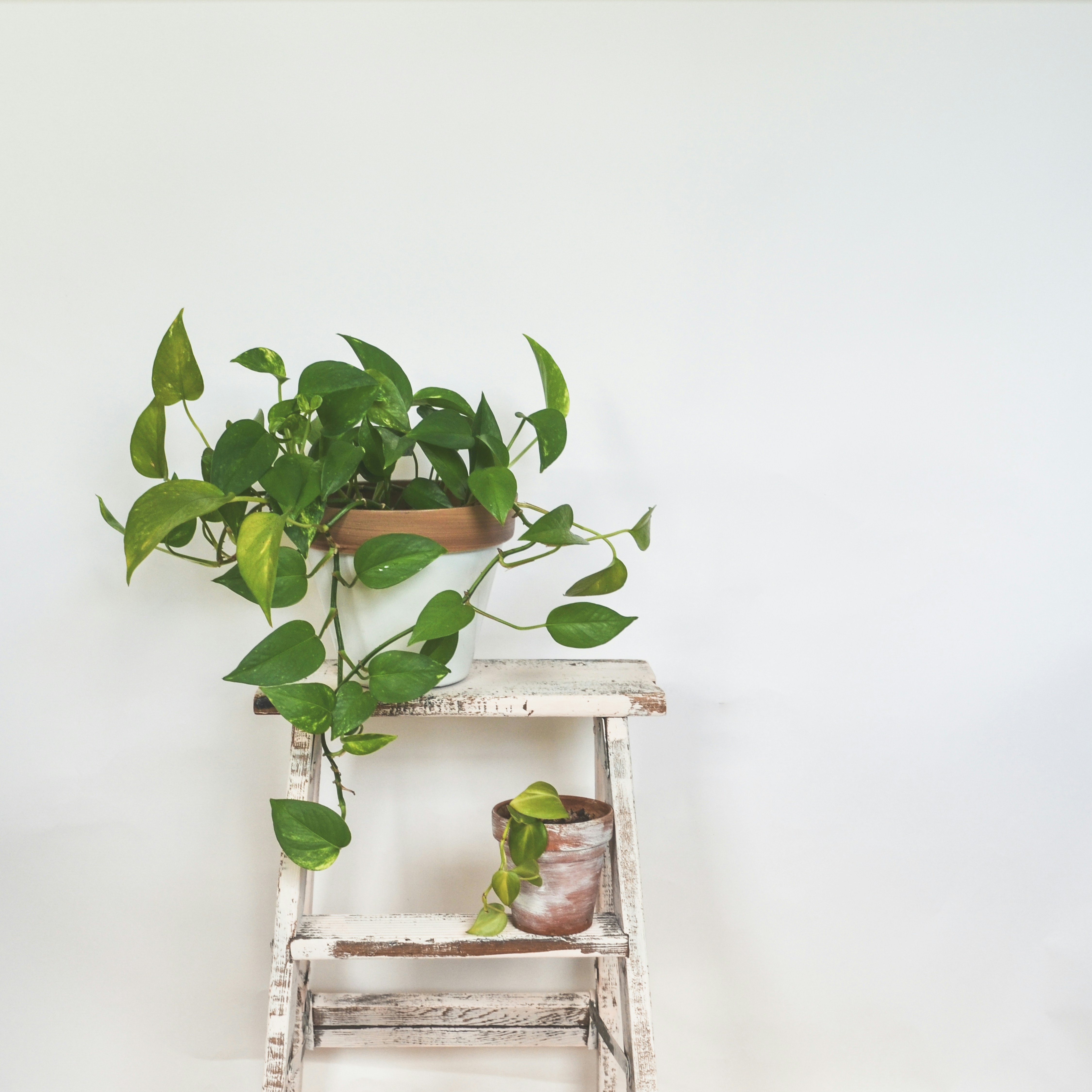 Photo by hudsoncrafted