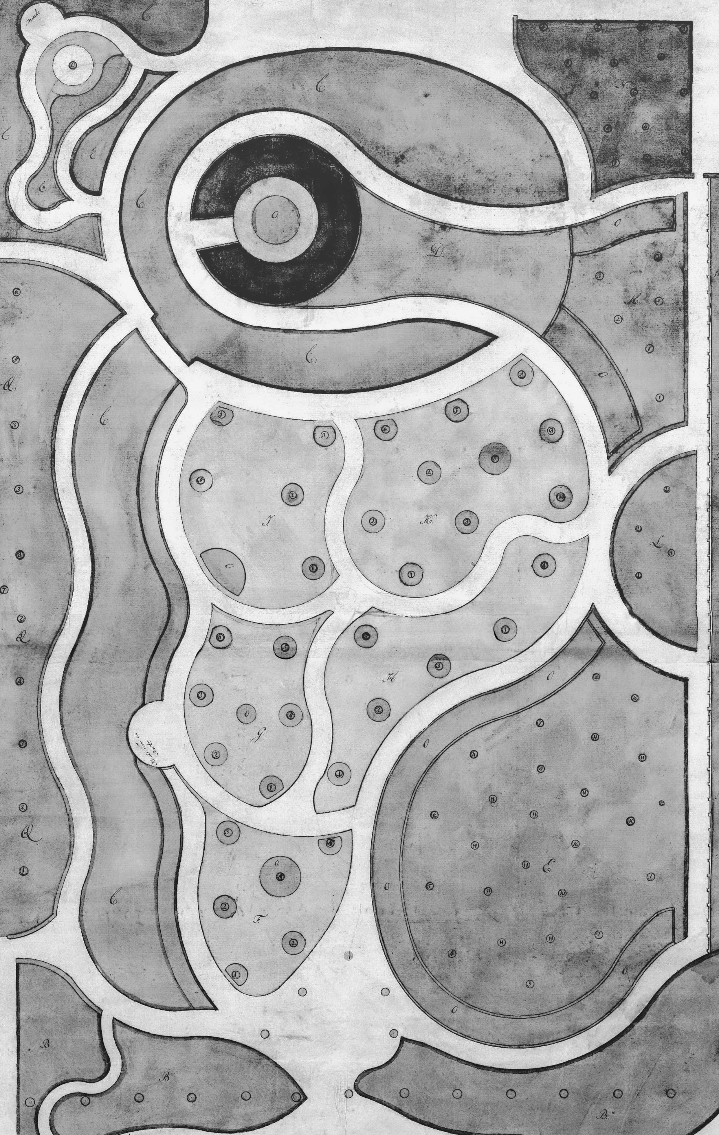 Black and white bird illustration