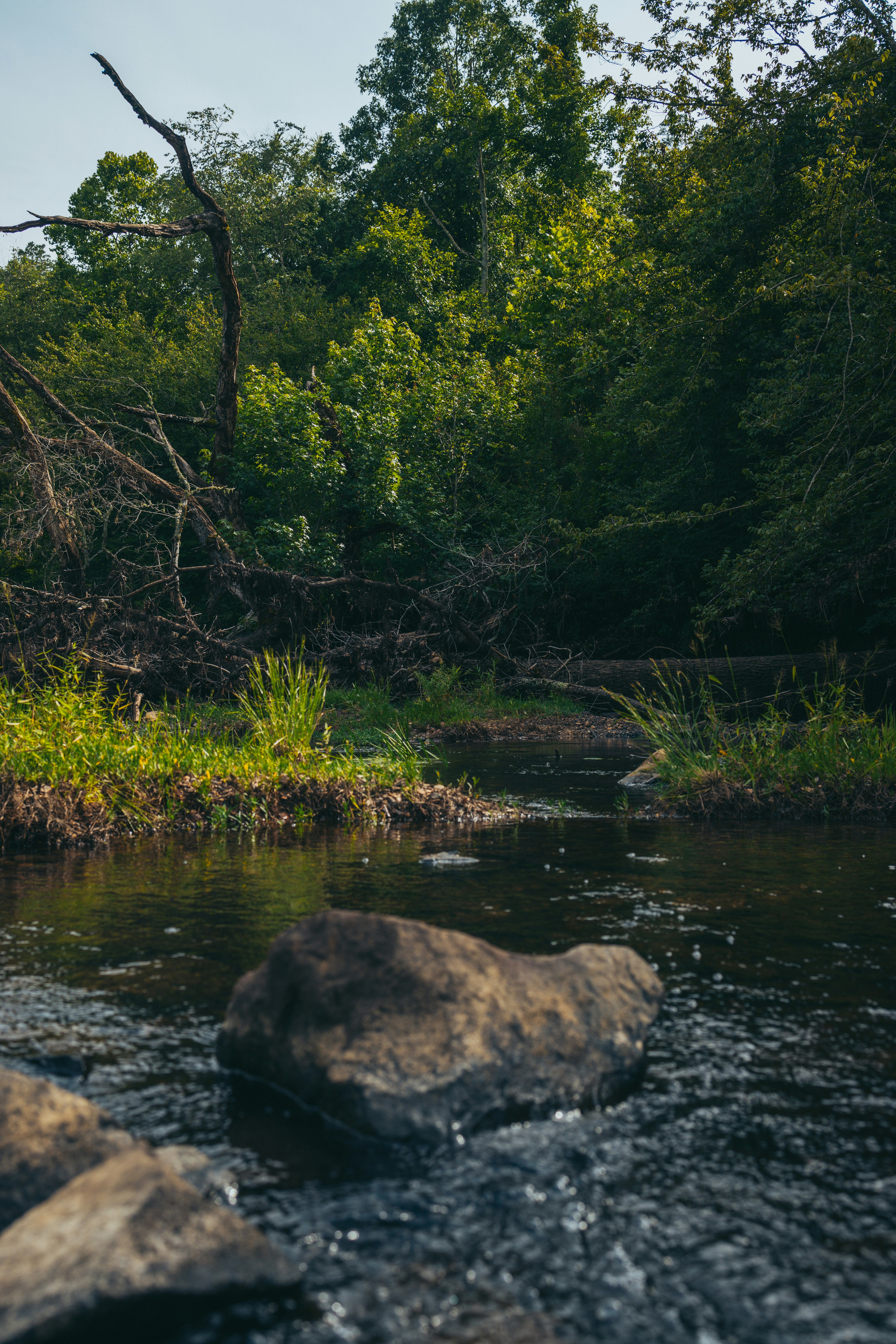 Little River County, Arkansas