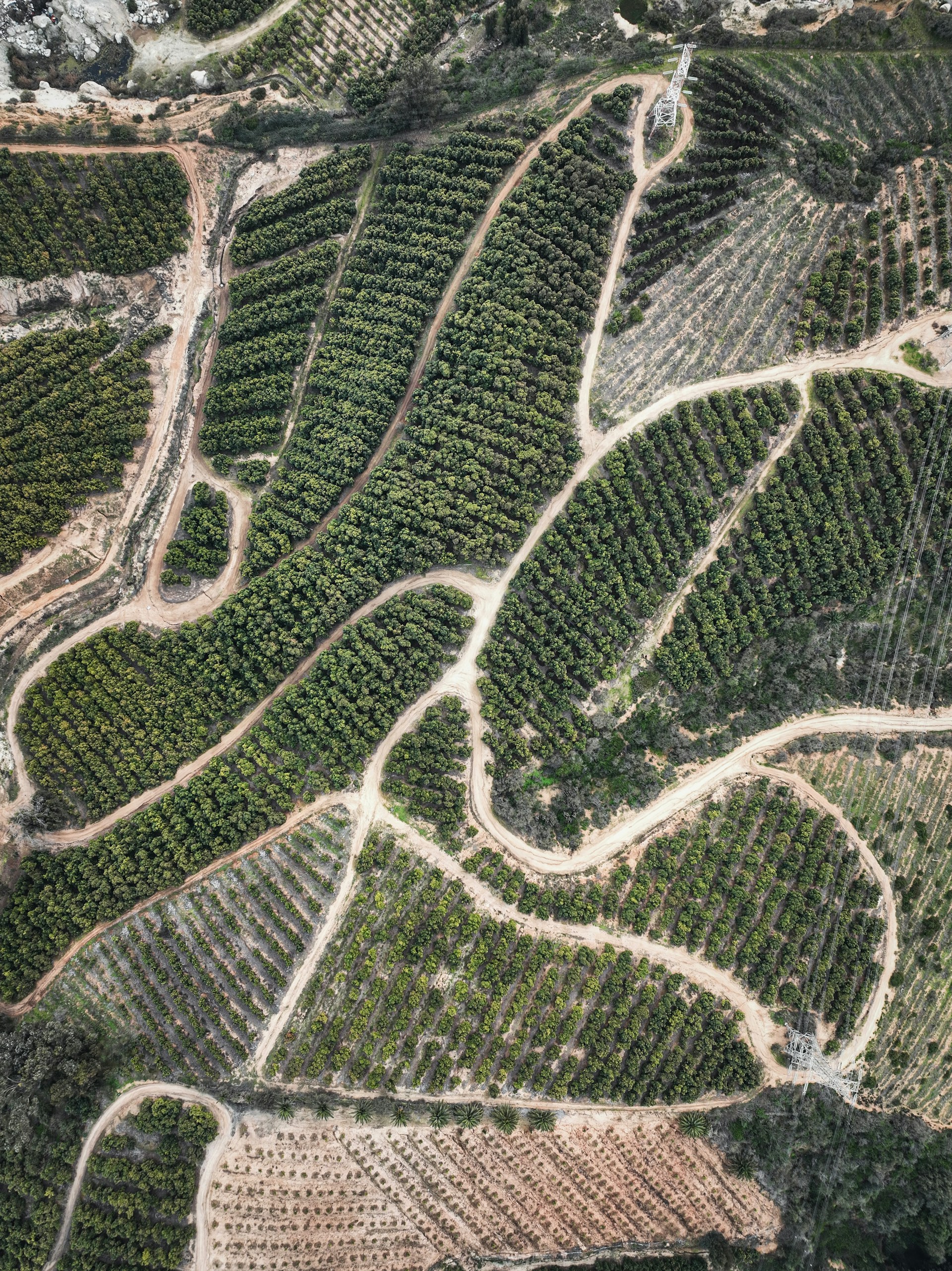 An aerial view of a dirt road surrounded by trees