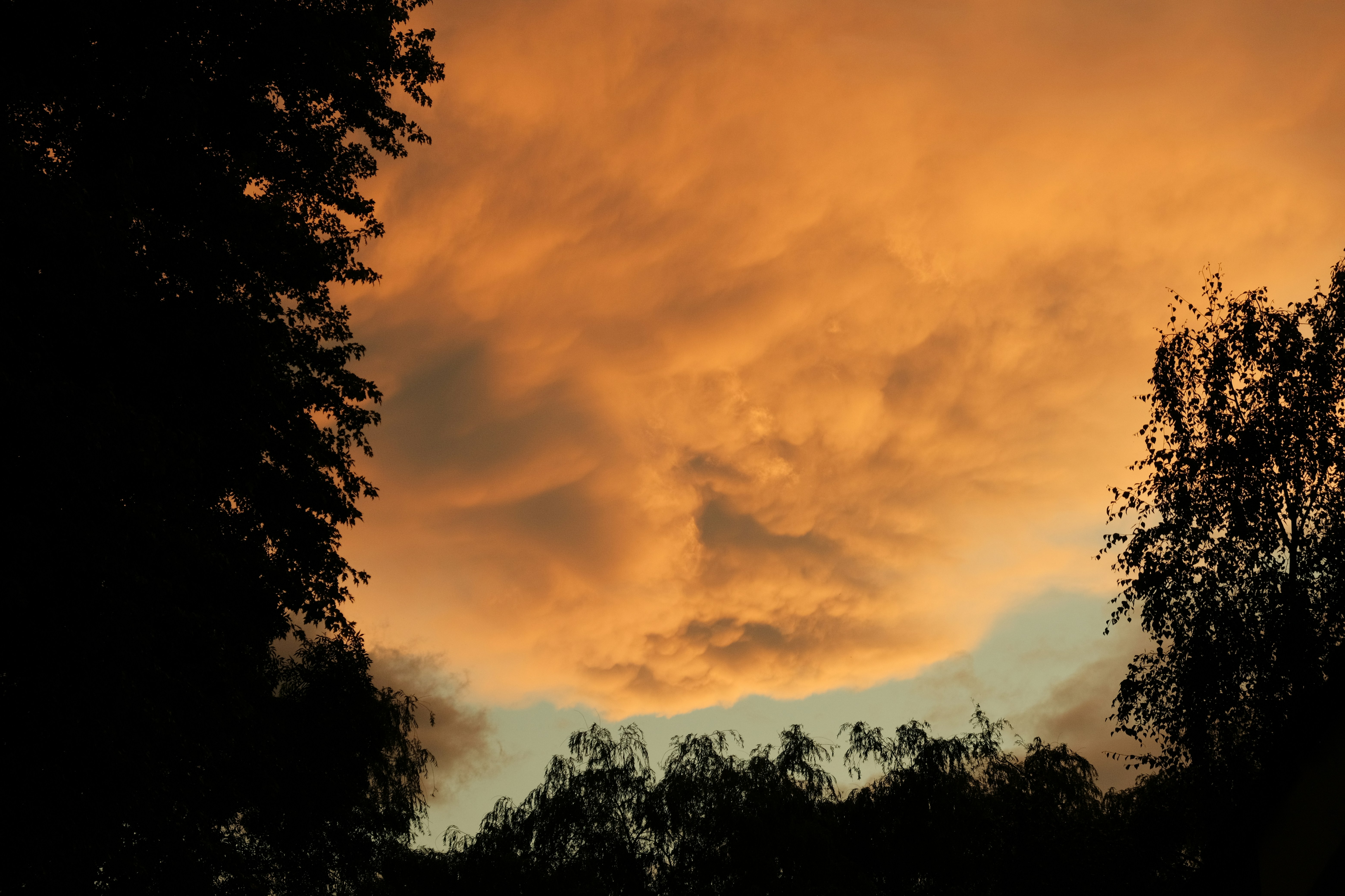 Photo by kyantijhuis