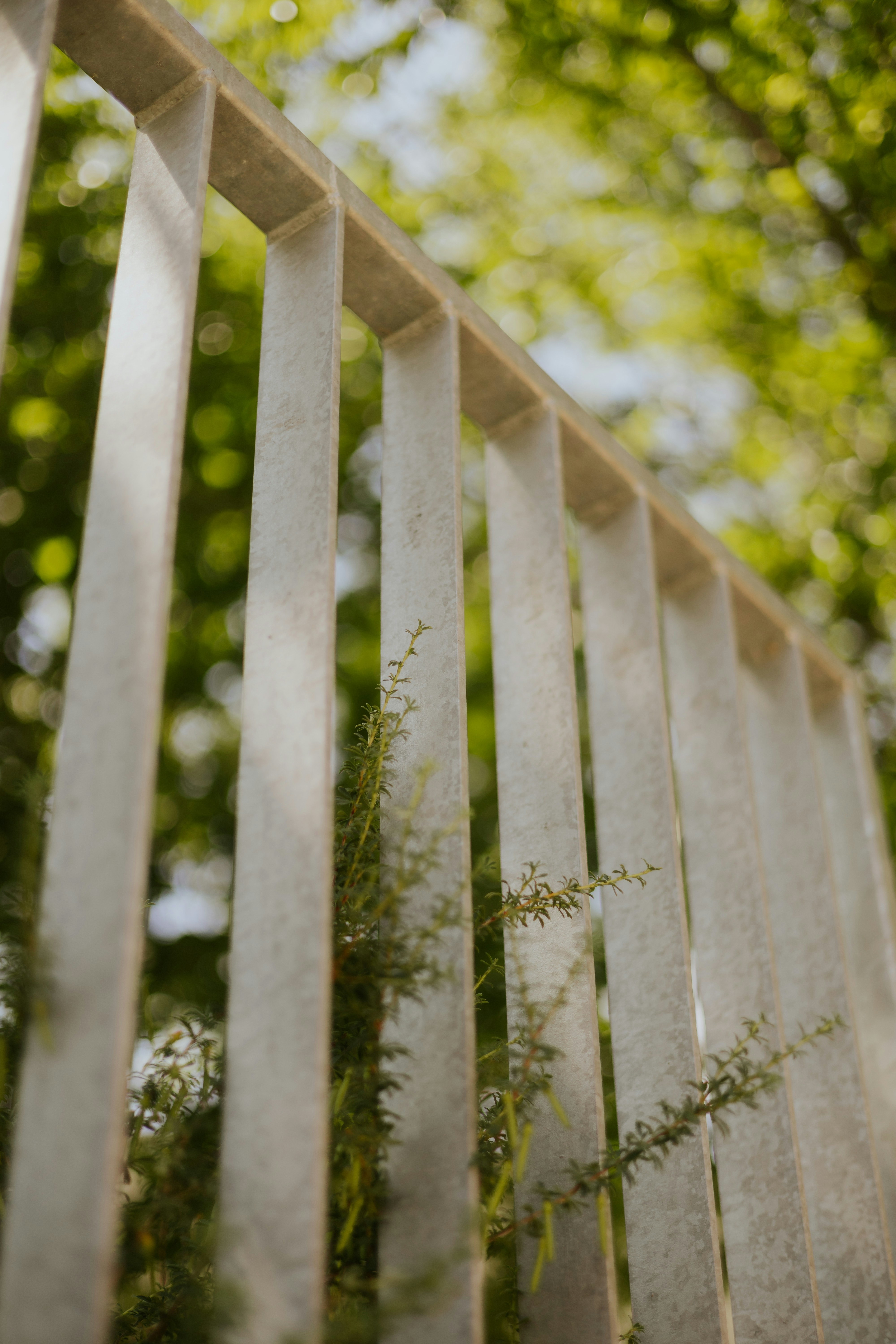 Photo by harrydhindsa