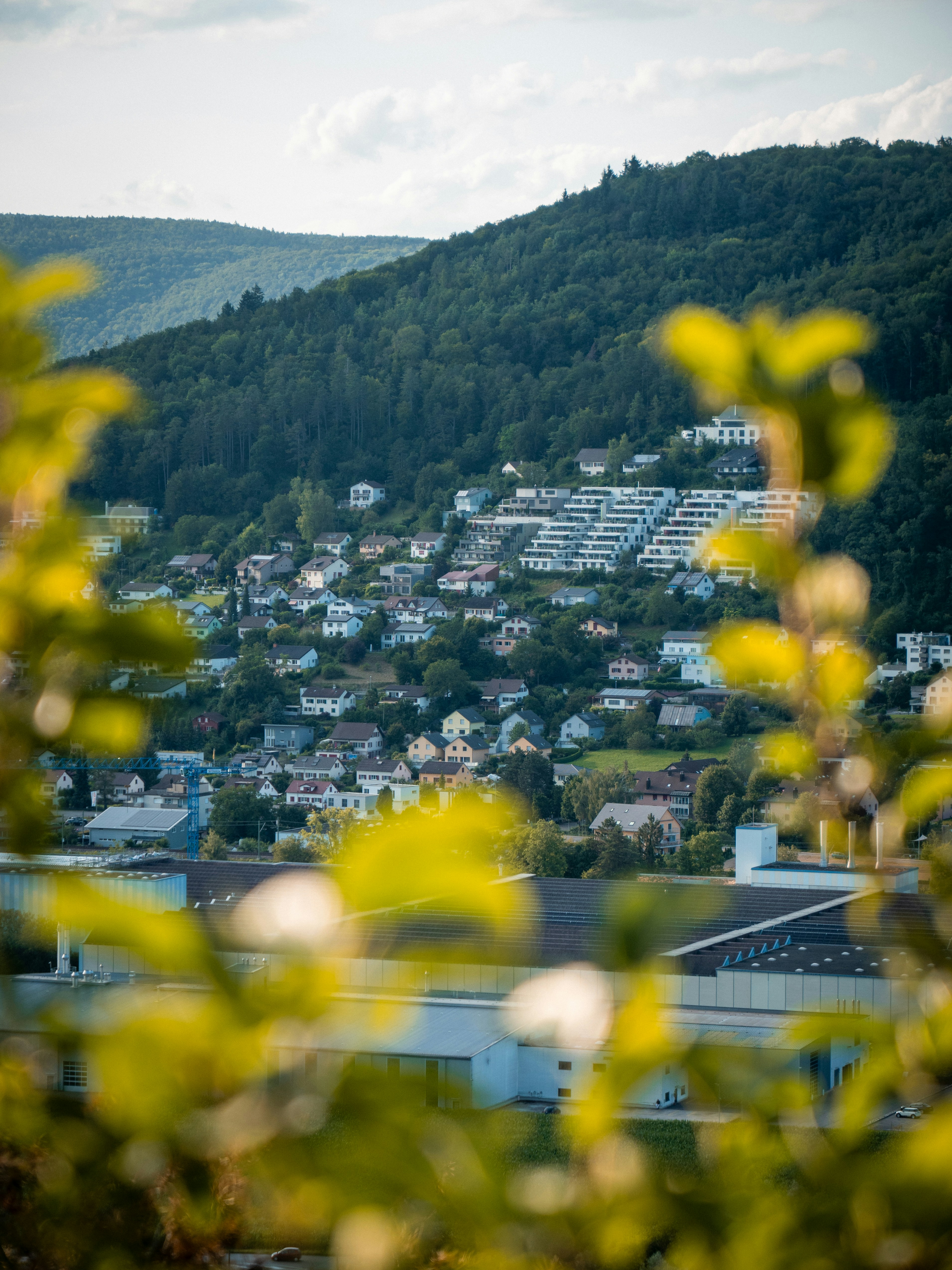 Photo by andr1_aeschli