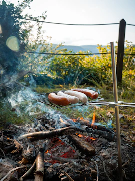 Hot dogs being cooked on a grill in the woods