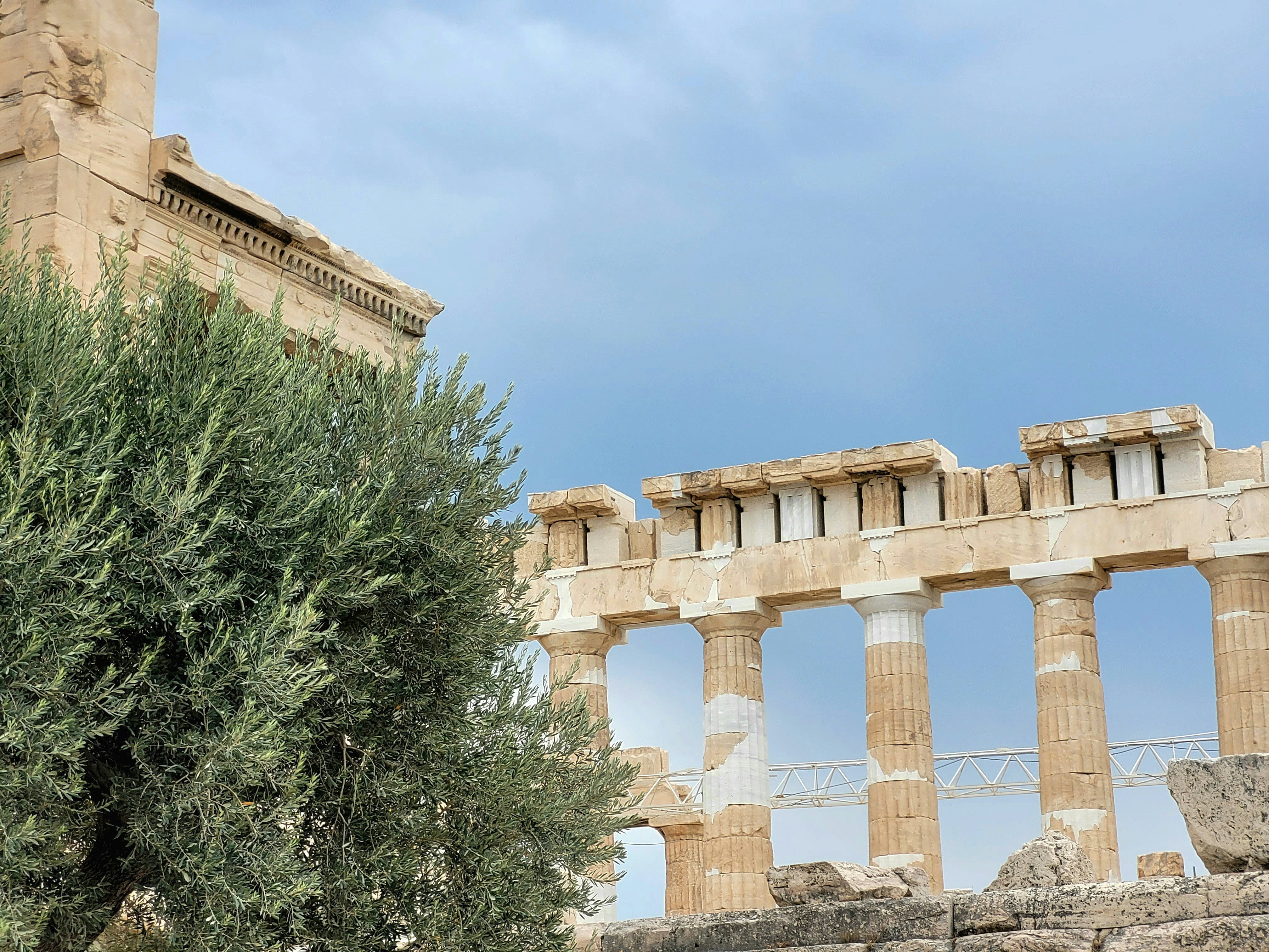 Photo by felipe_lamana