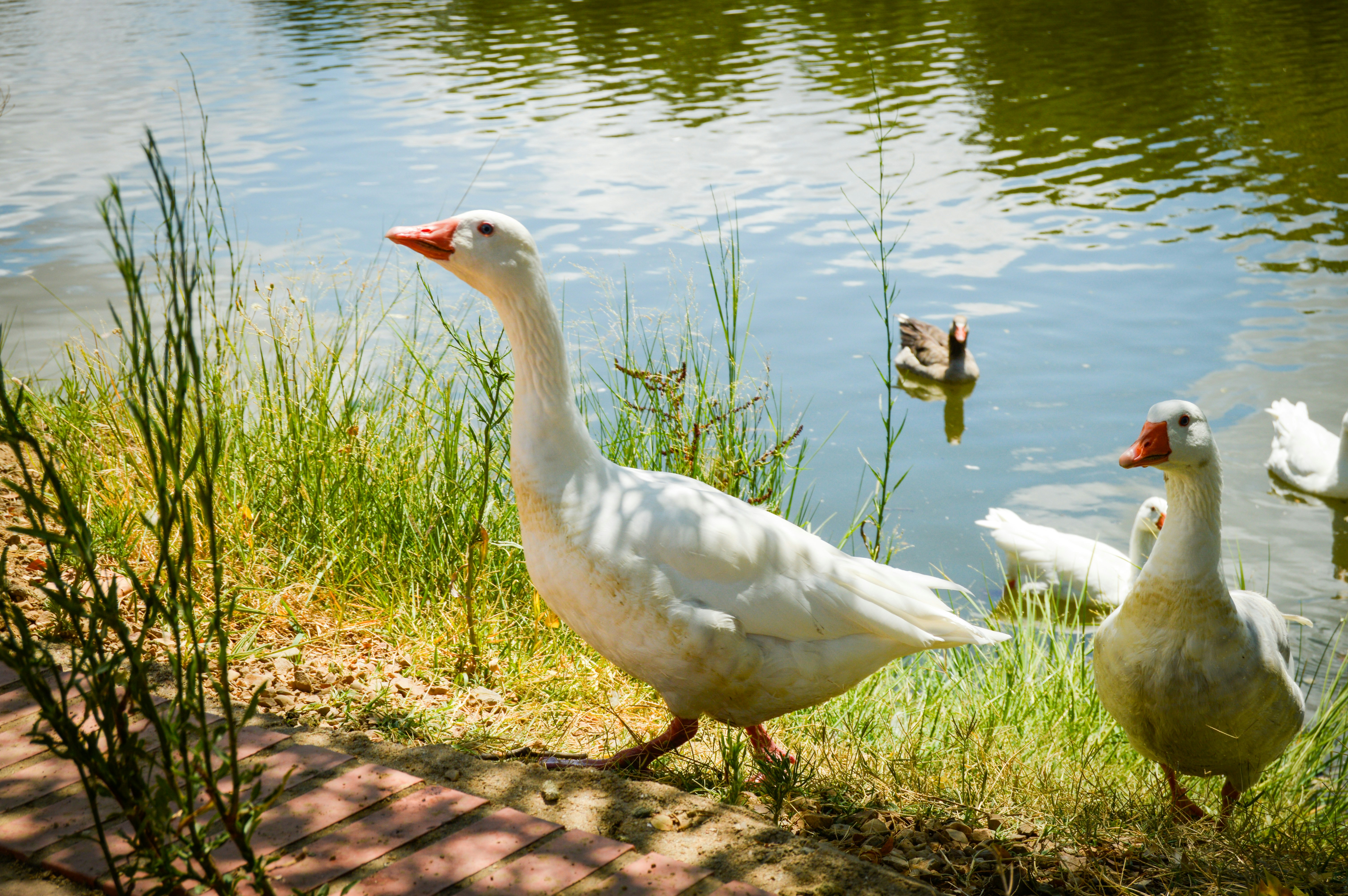 Photo by richardmultimedia