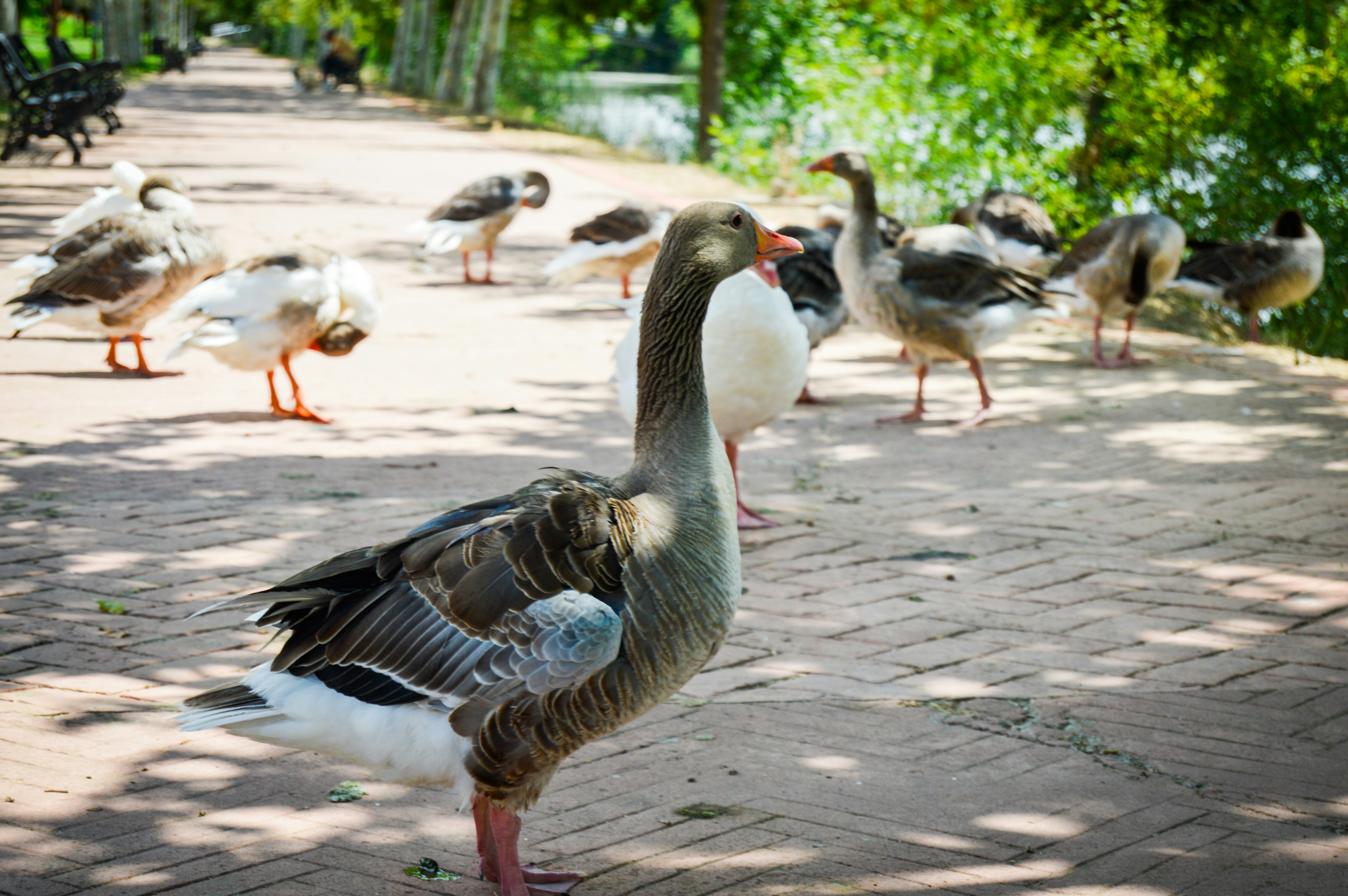 Photo by richardmultimedia