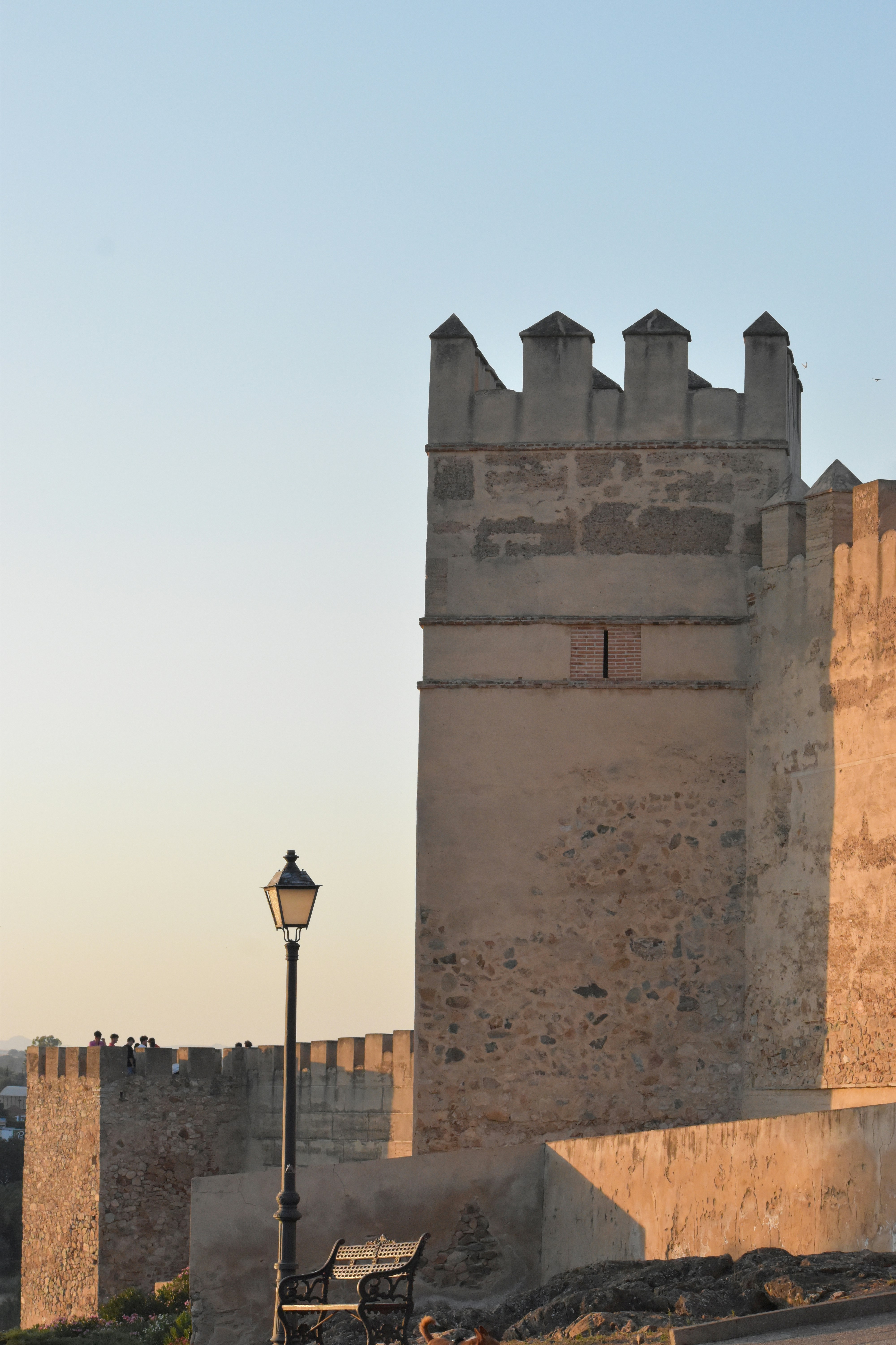 Top 5 Empresas de chatbots en Badajoz