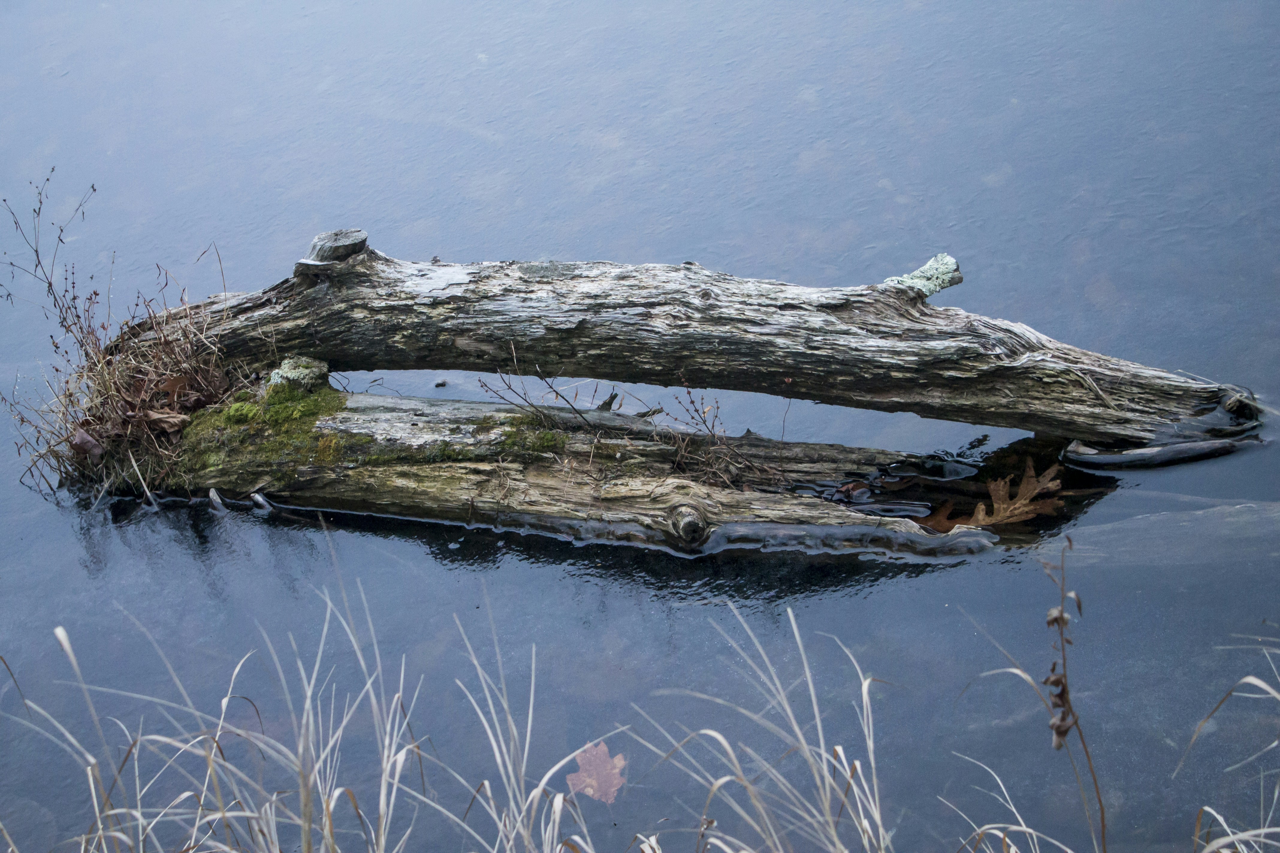 Photo by katieburkhart