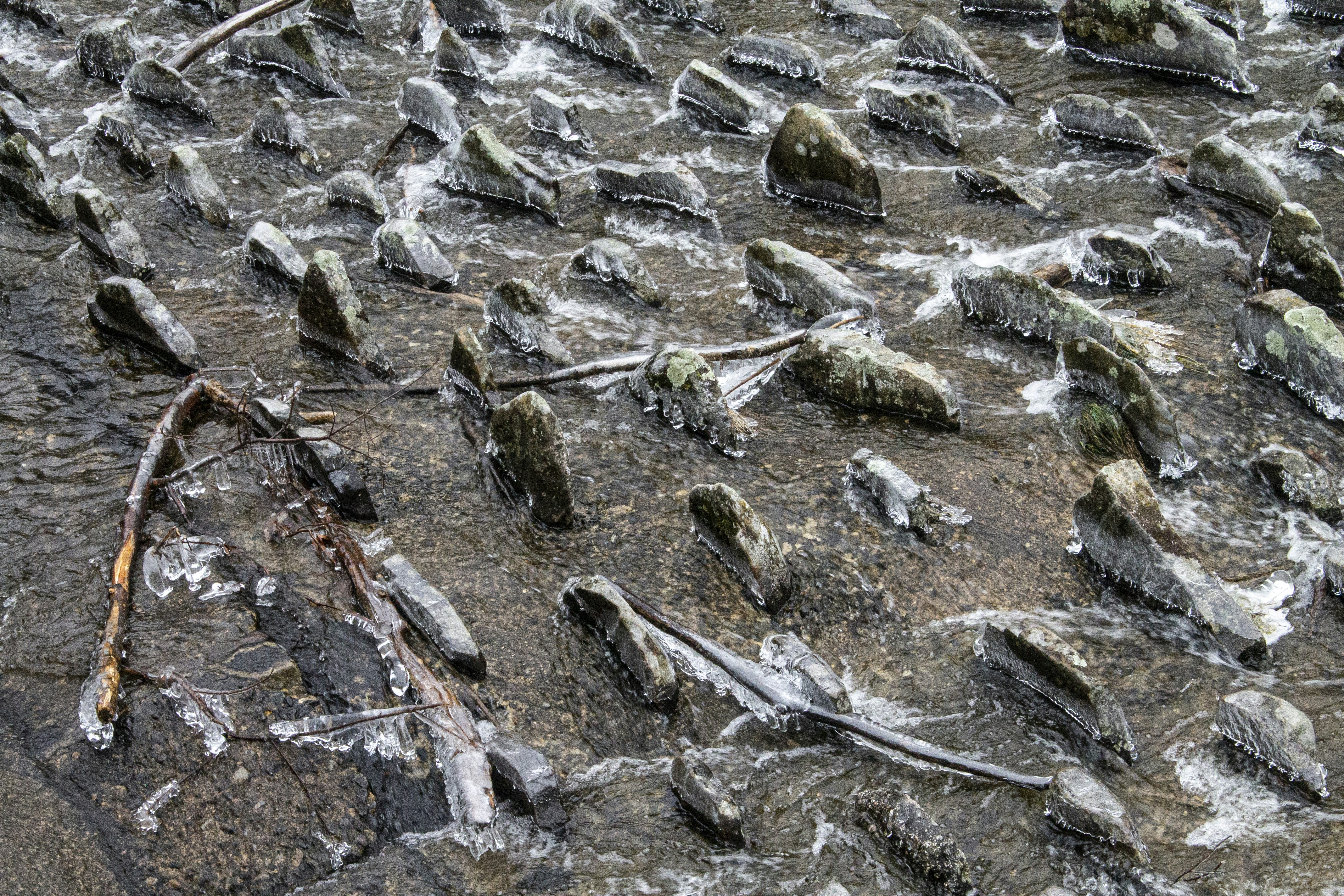 Photo by katieburkhart