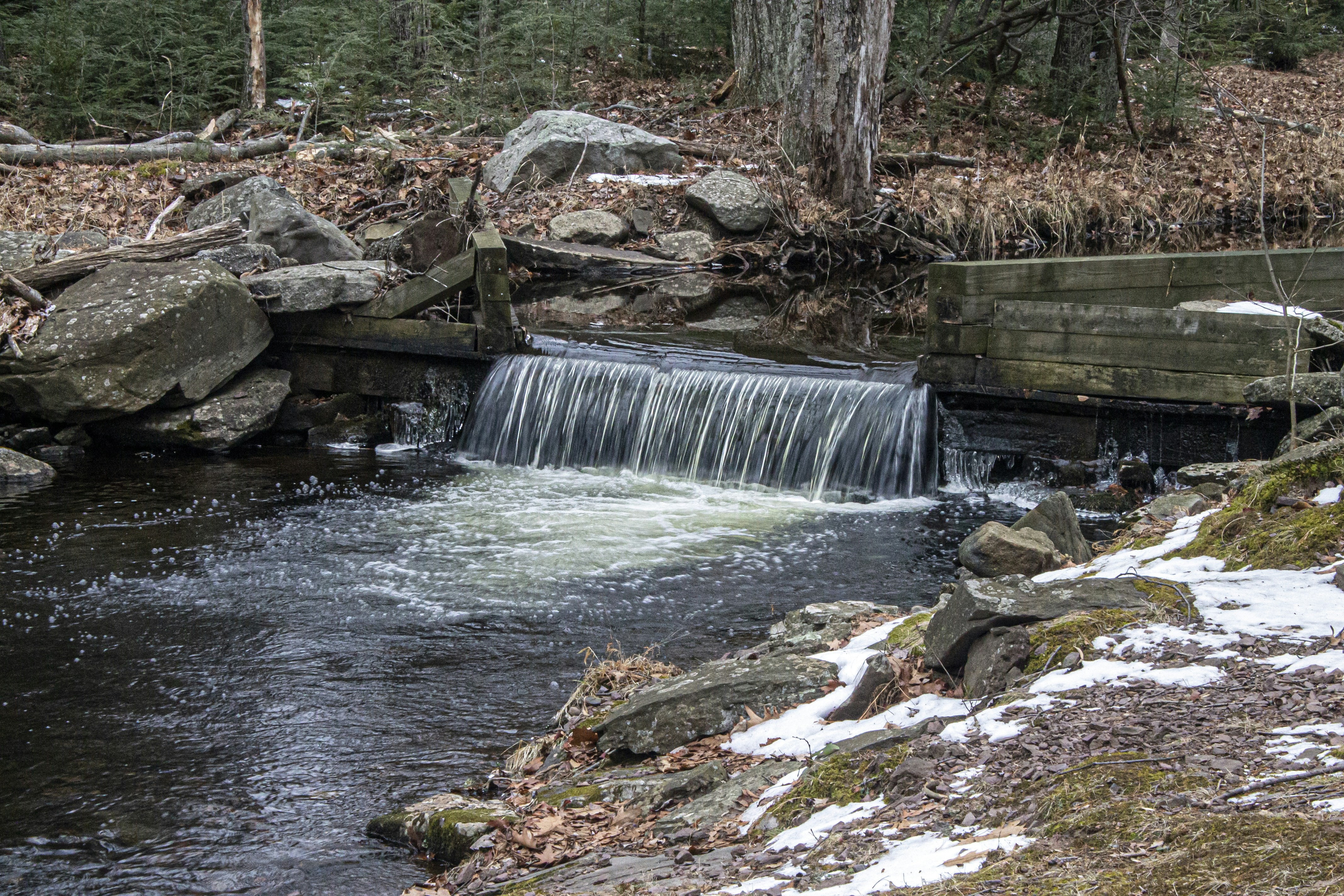 Photo by katieburkhart