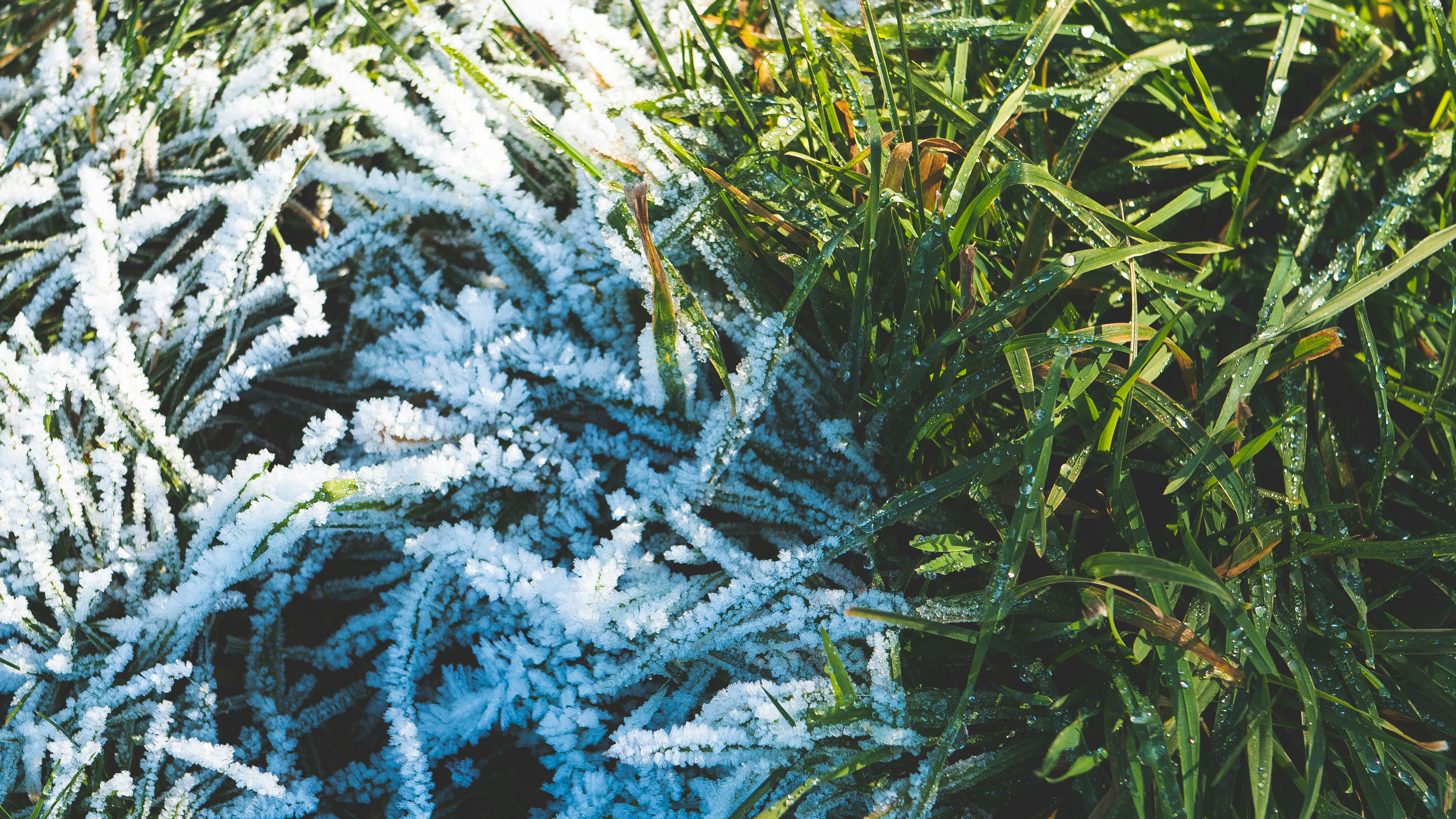 Do Oxalate Levels Change With The Seasons?