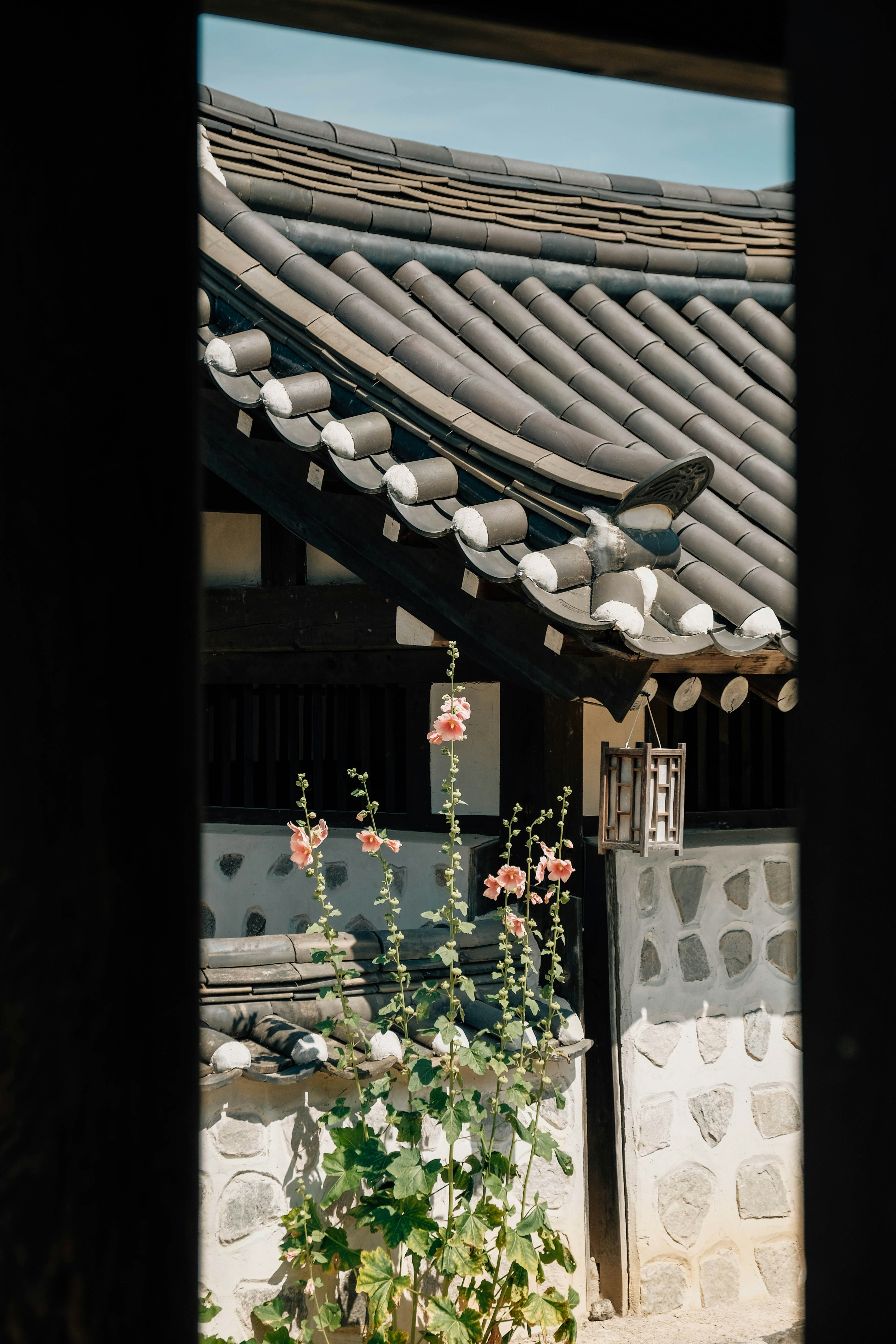 Photo by insungpandora