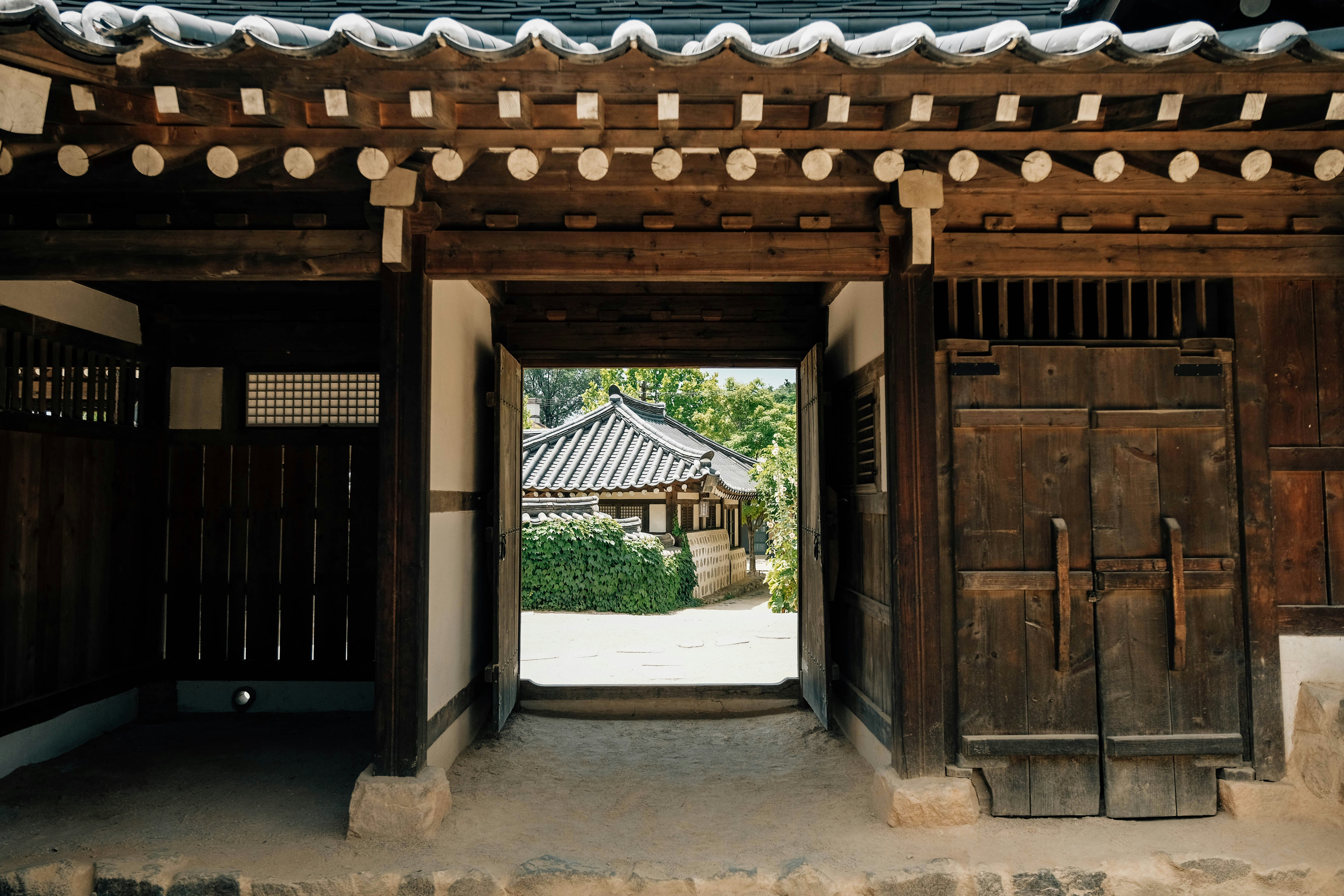 Photo by insungpandora