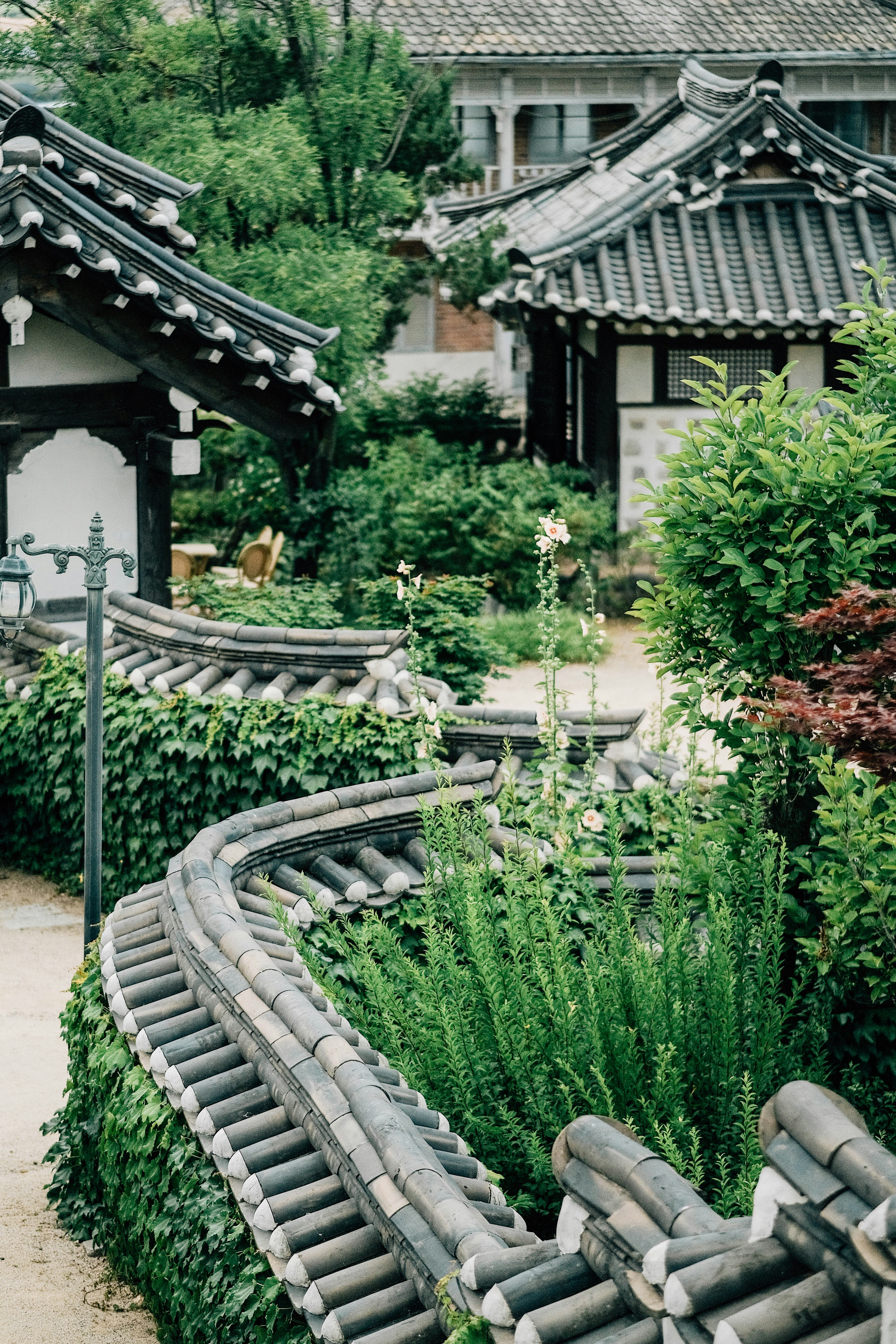 Photo by insungpandora