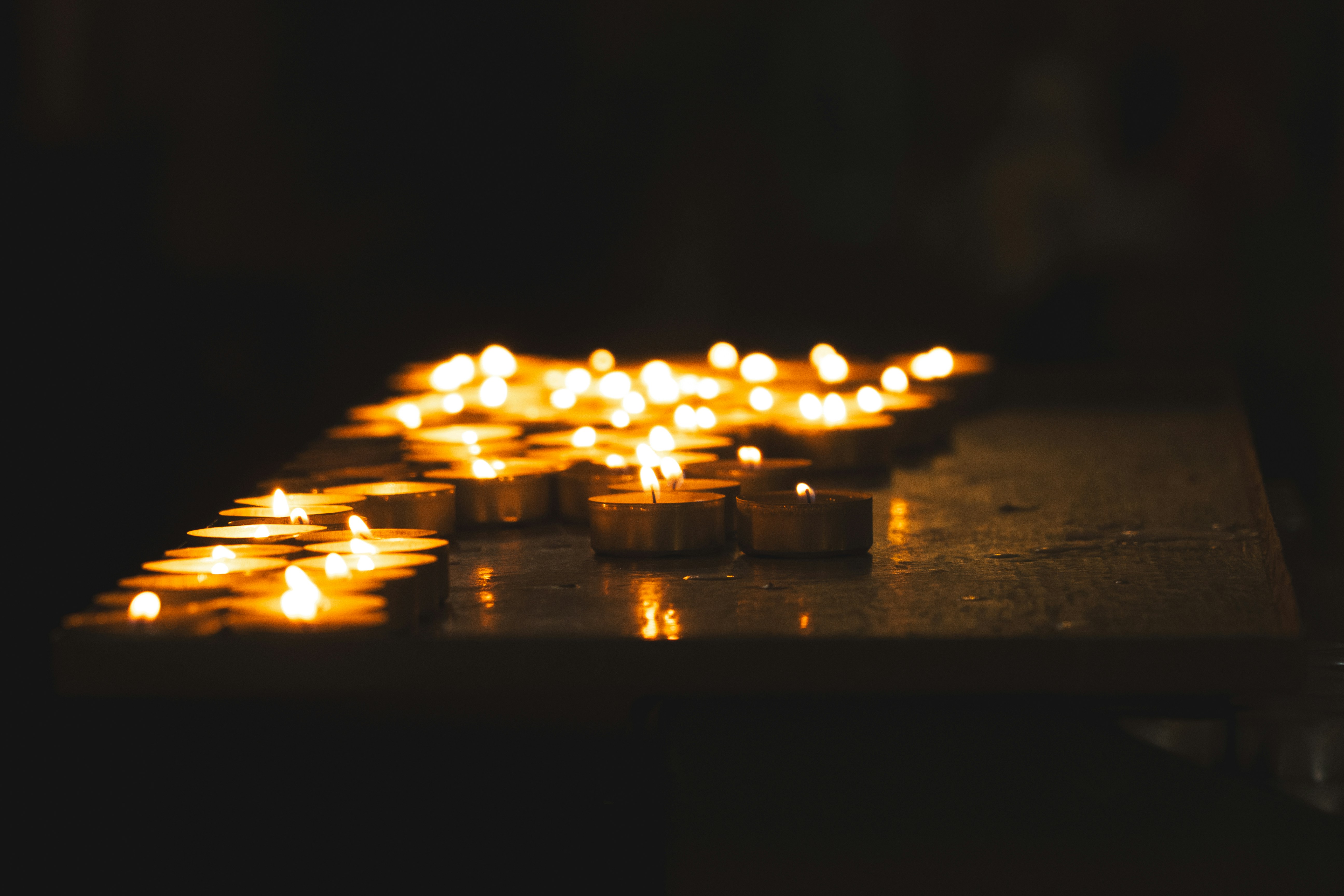 Photo by kylebushnell