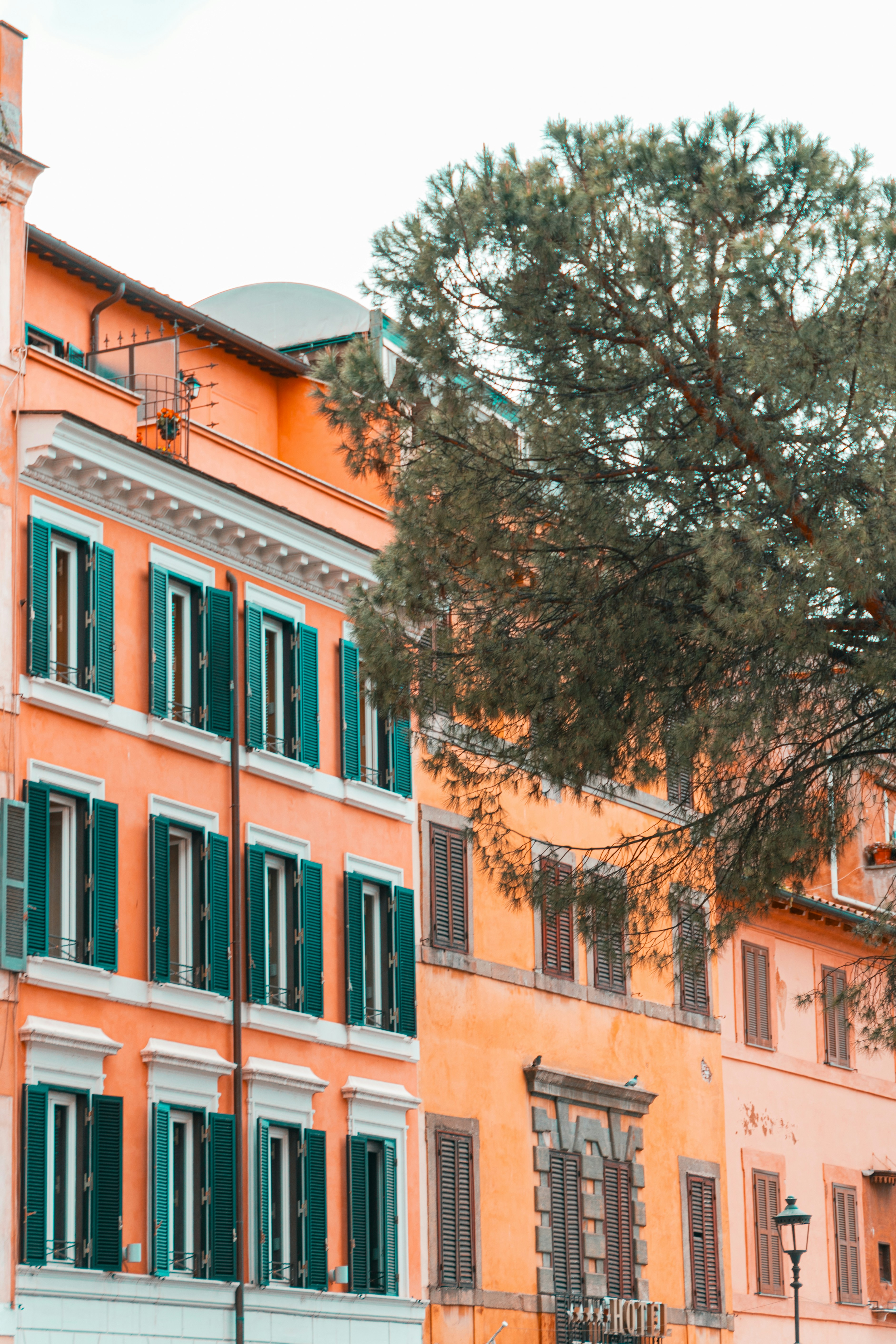 Photo by kylebushnell