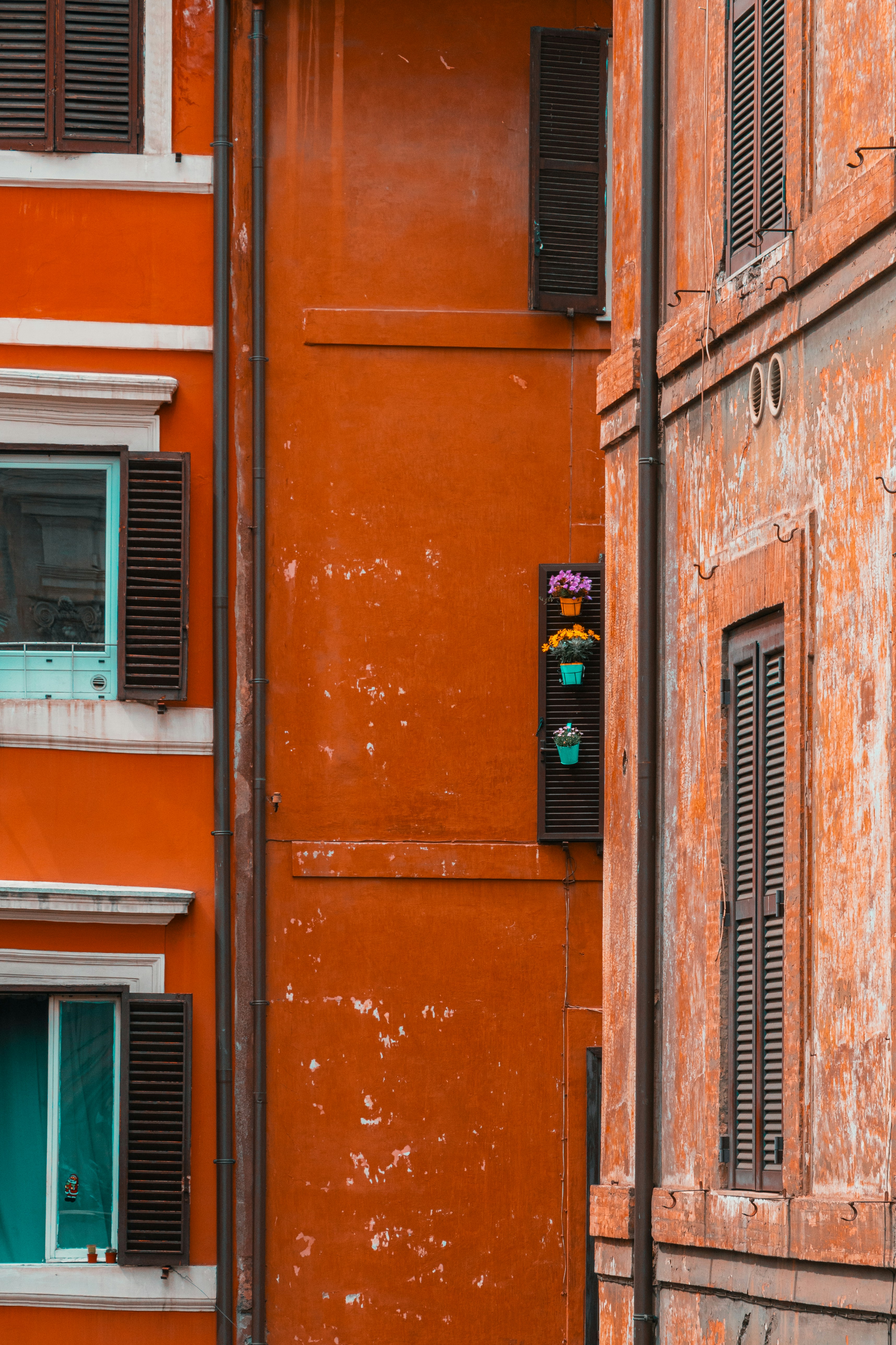 Photo by kylebushnell