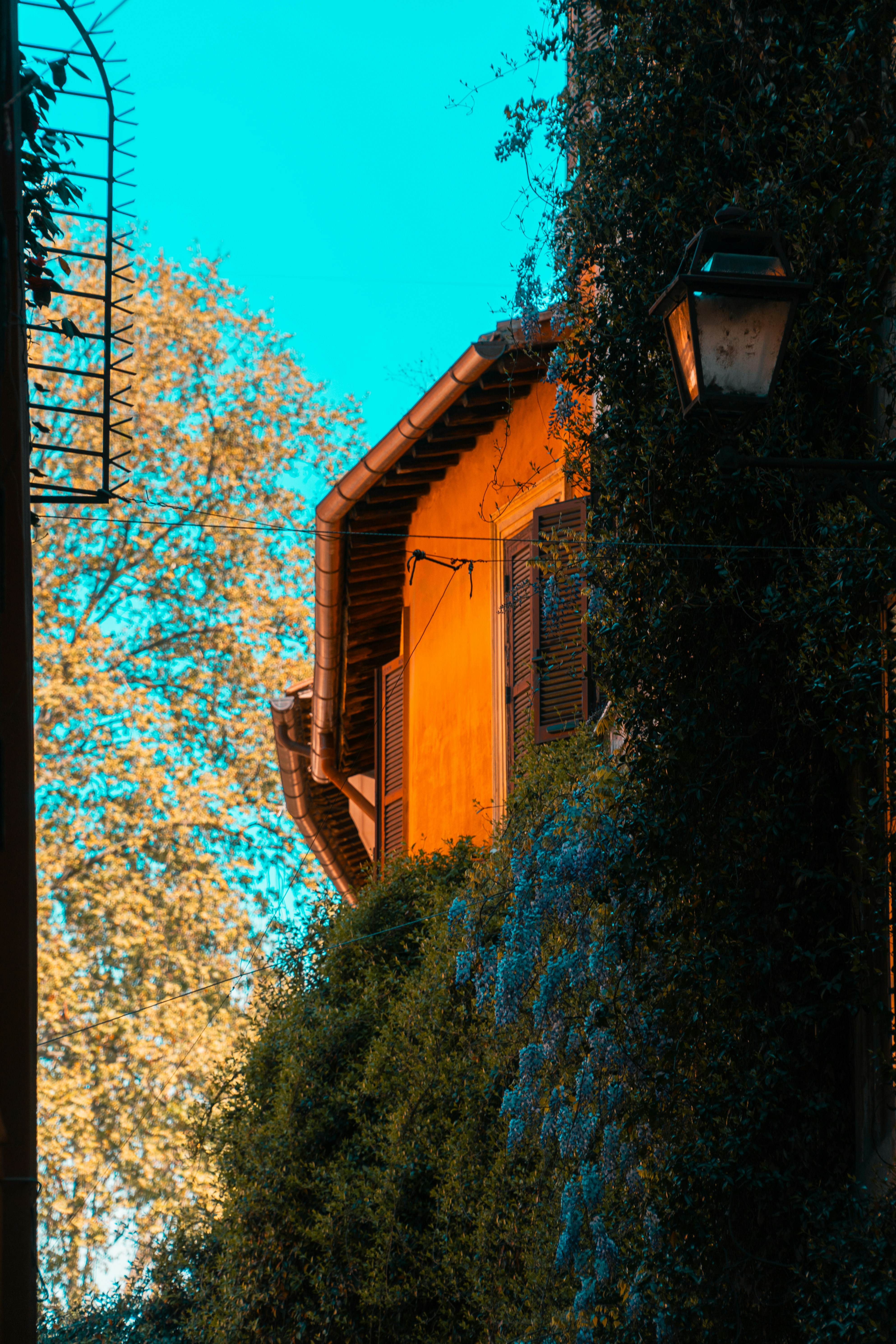 Photo by kylebushnell