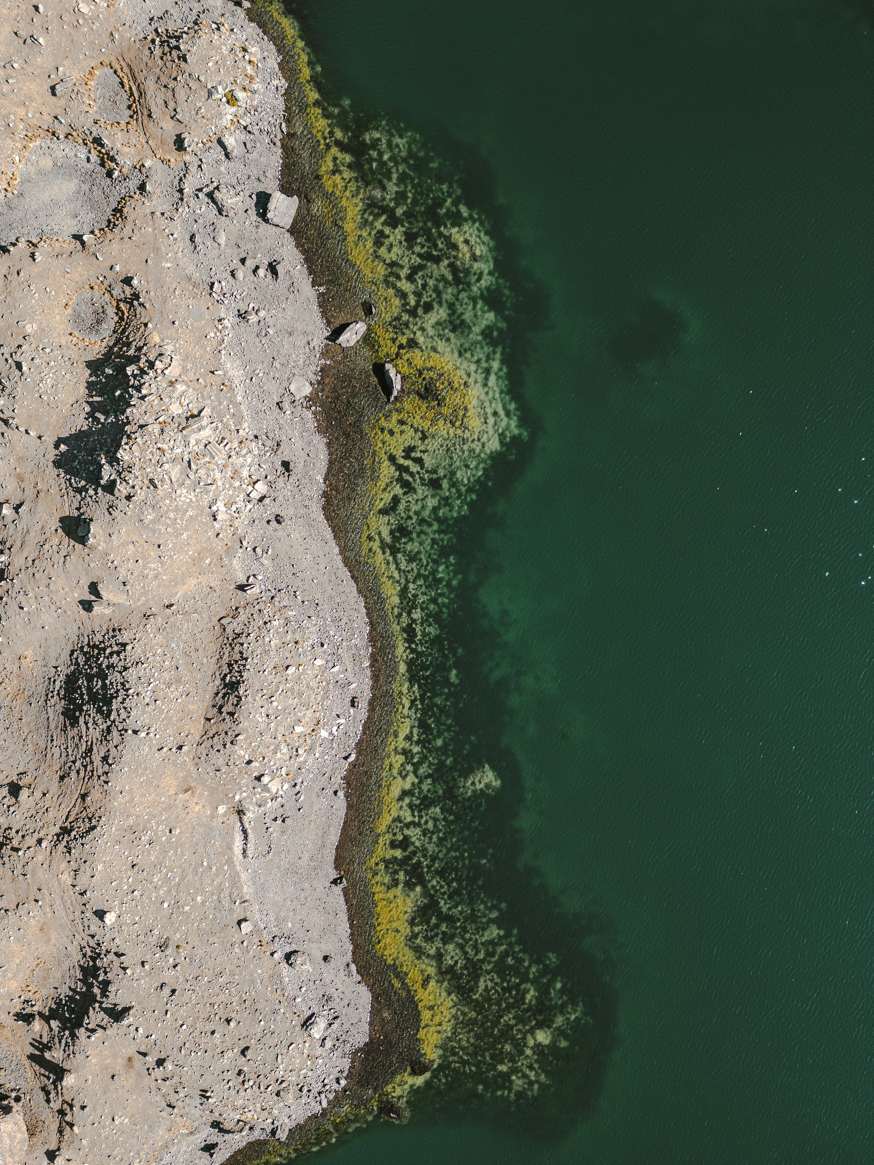 Photo by gabrieluizramos