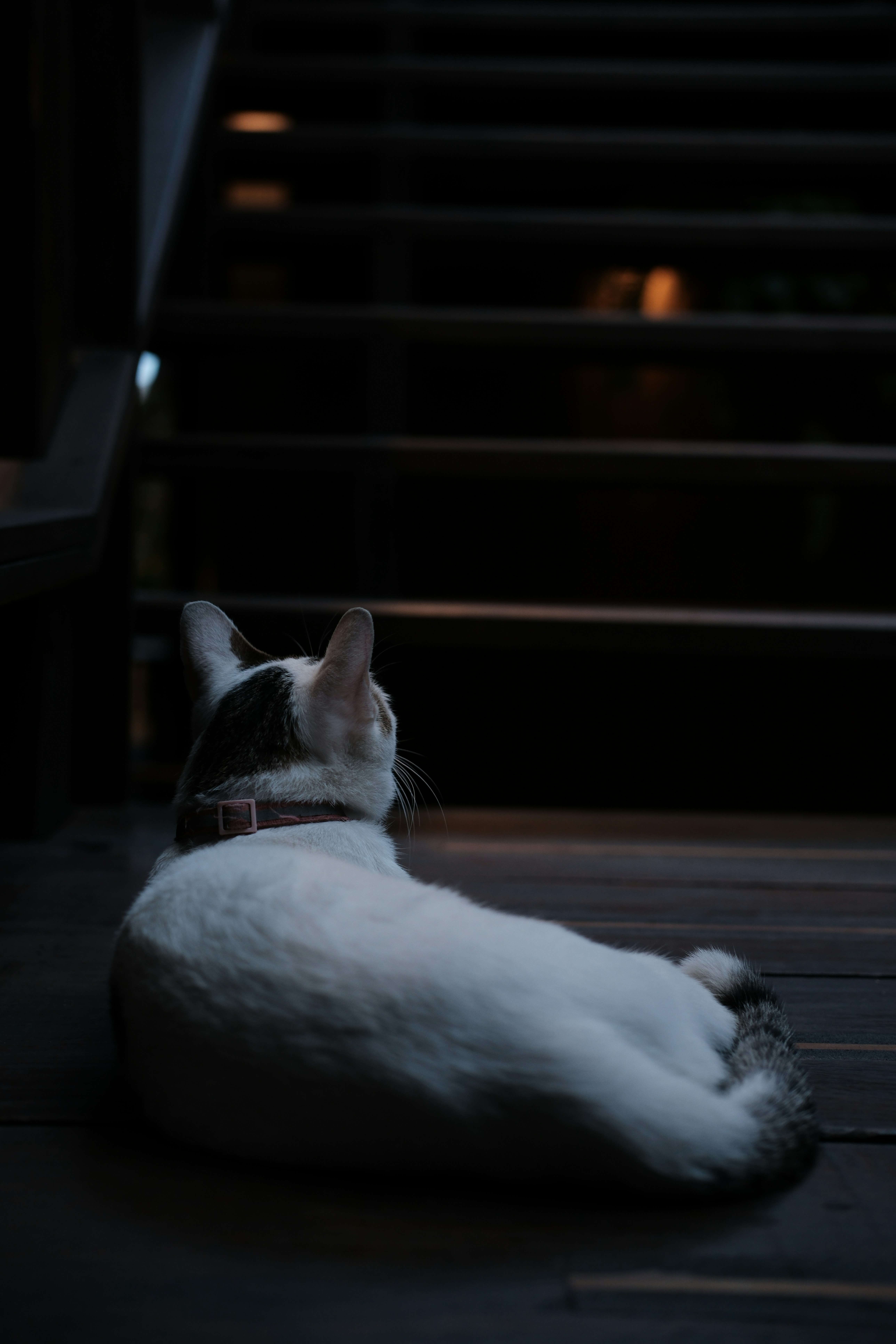 The Importance of Personal Space (image credits: unsplash)