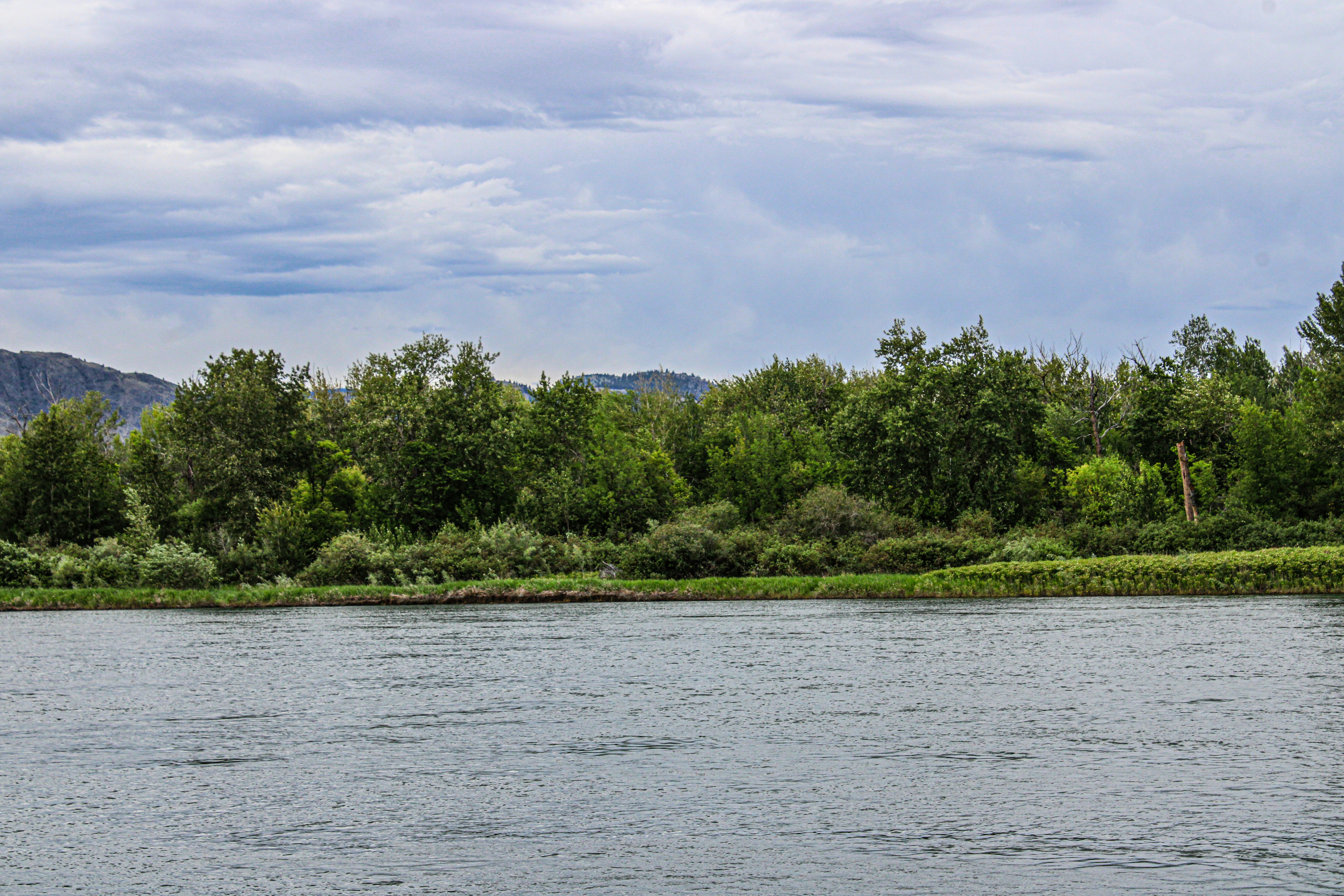 Photo by prphotography262