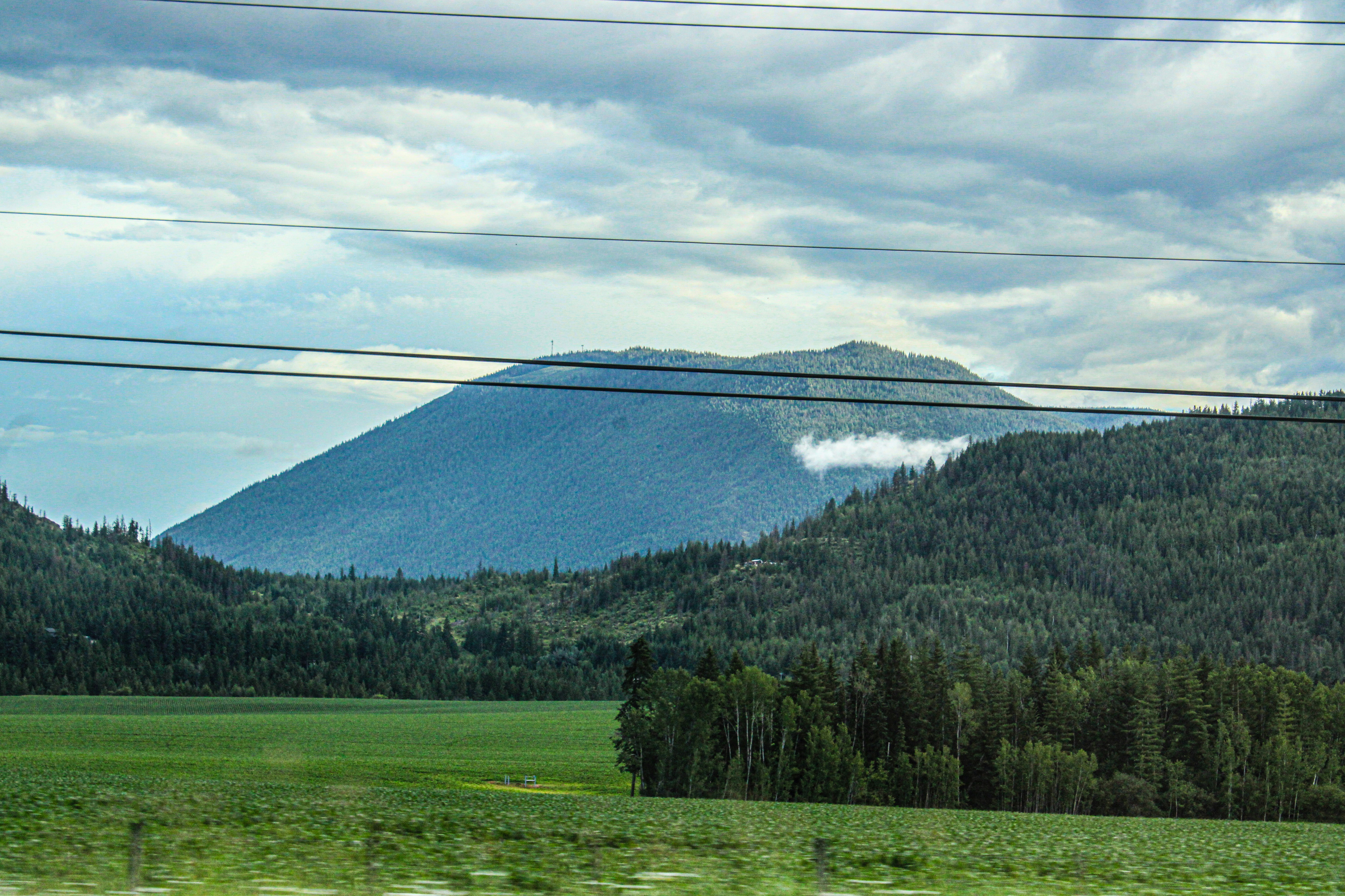 Photo by prphotography262