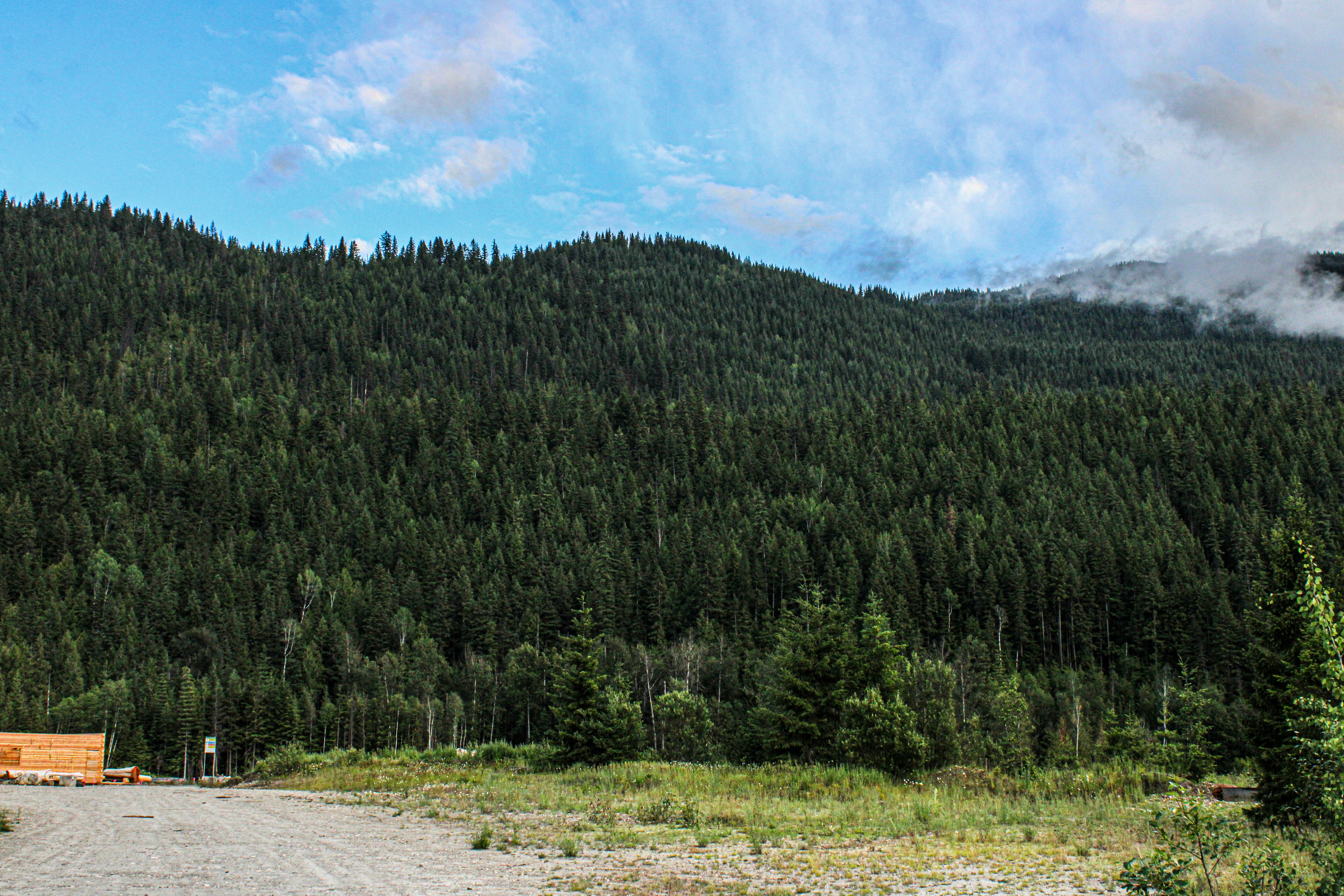 Photo by prphotography262