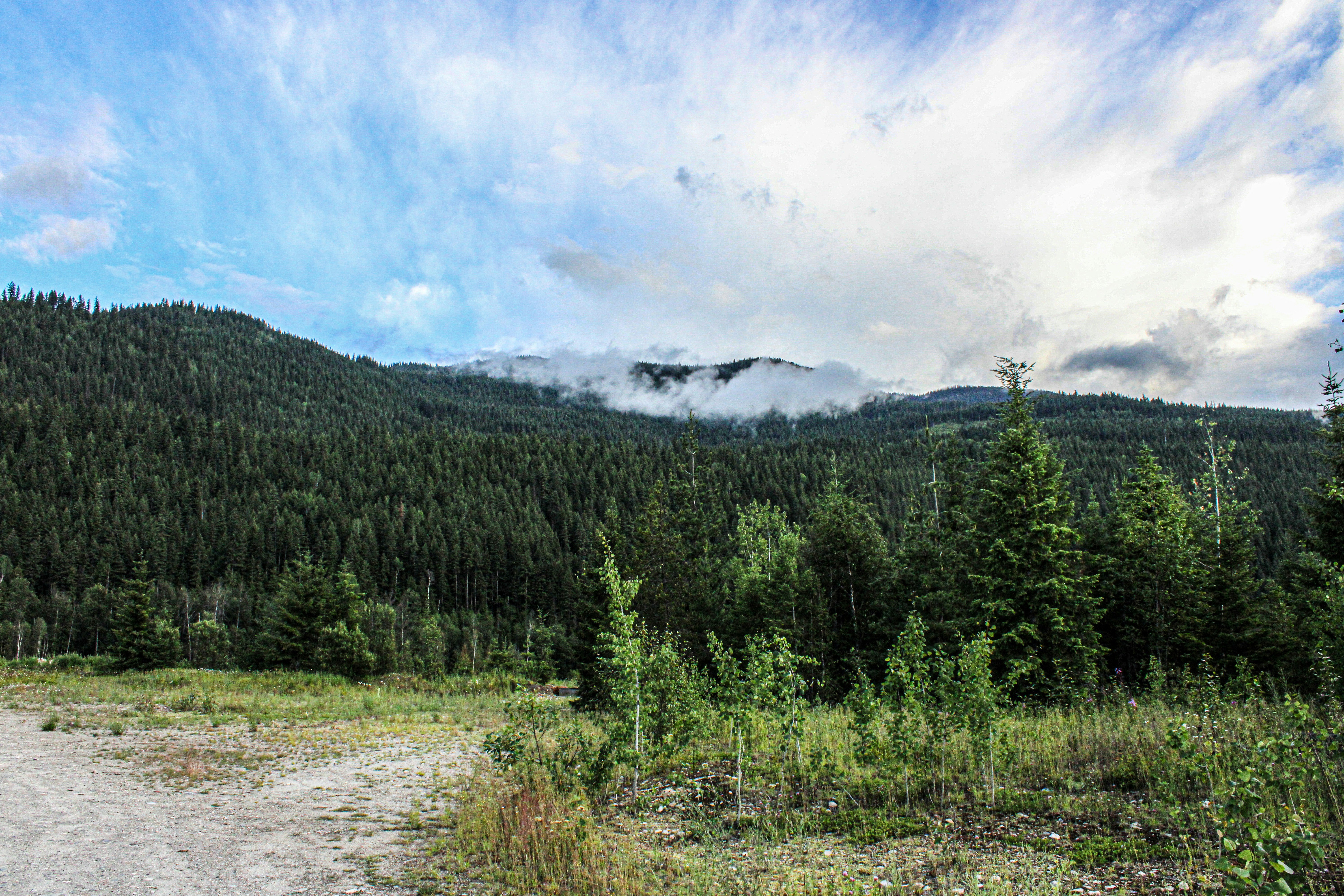 Photo by prphotography262