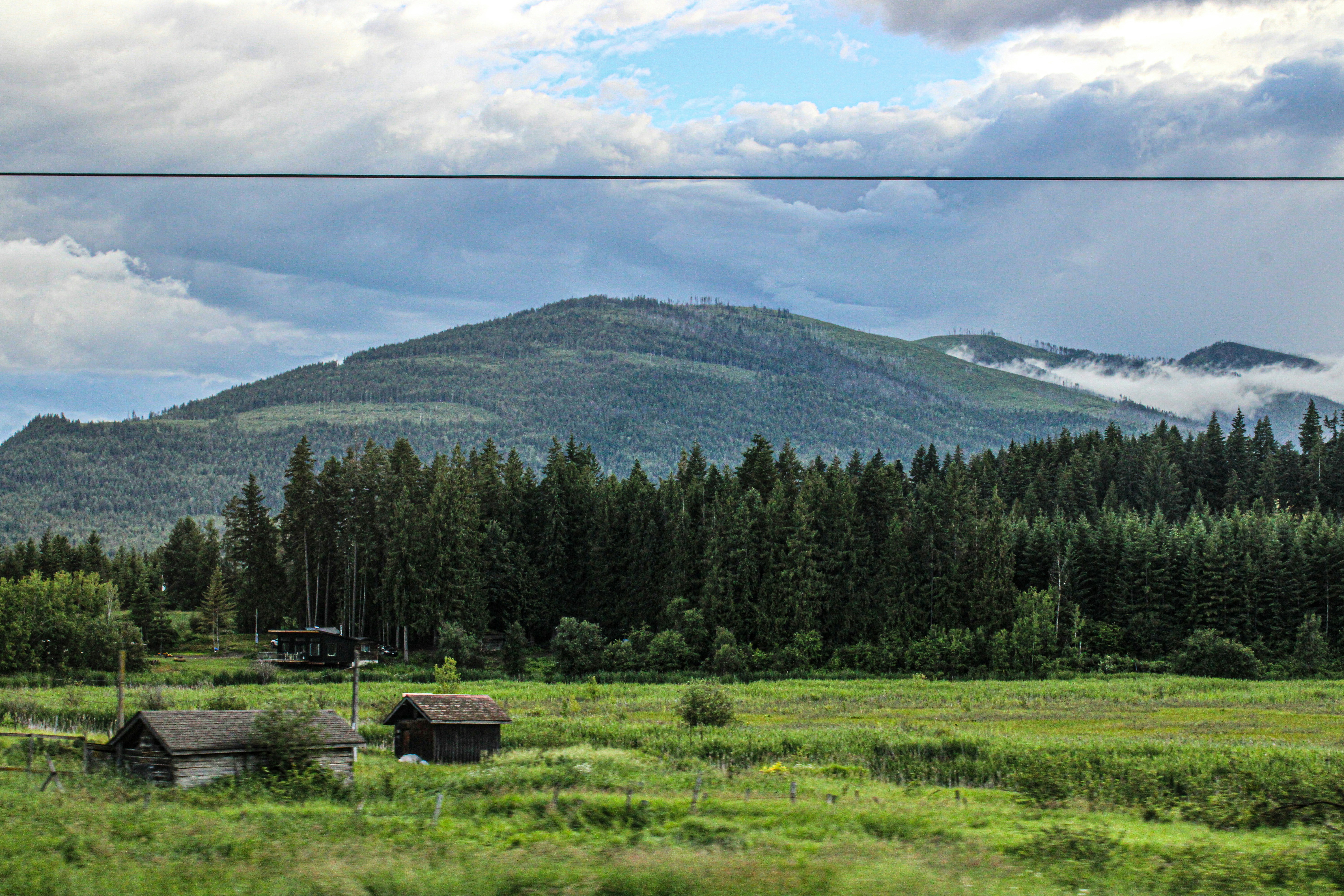 A grassy field with a mountain in the background