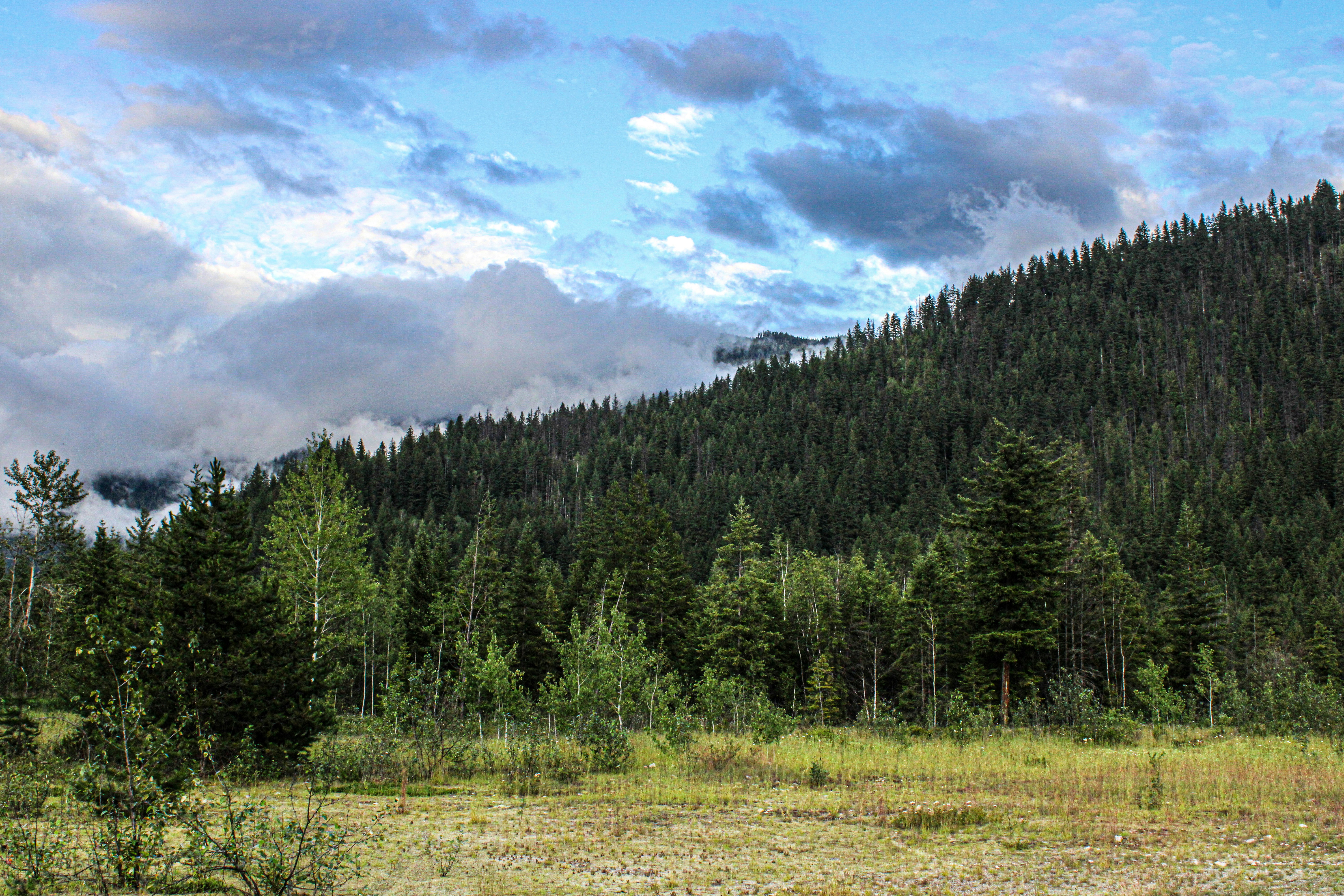 Photo by prphotography262